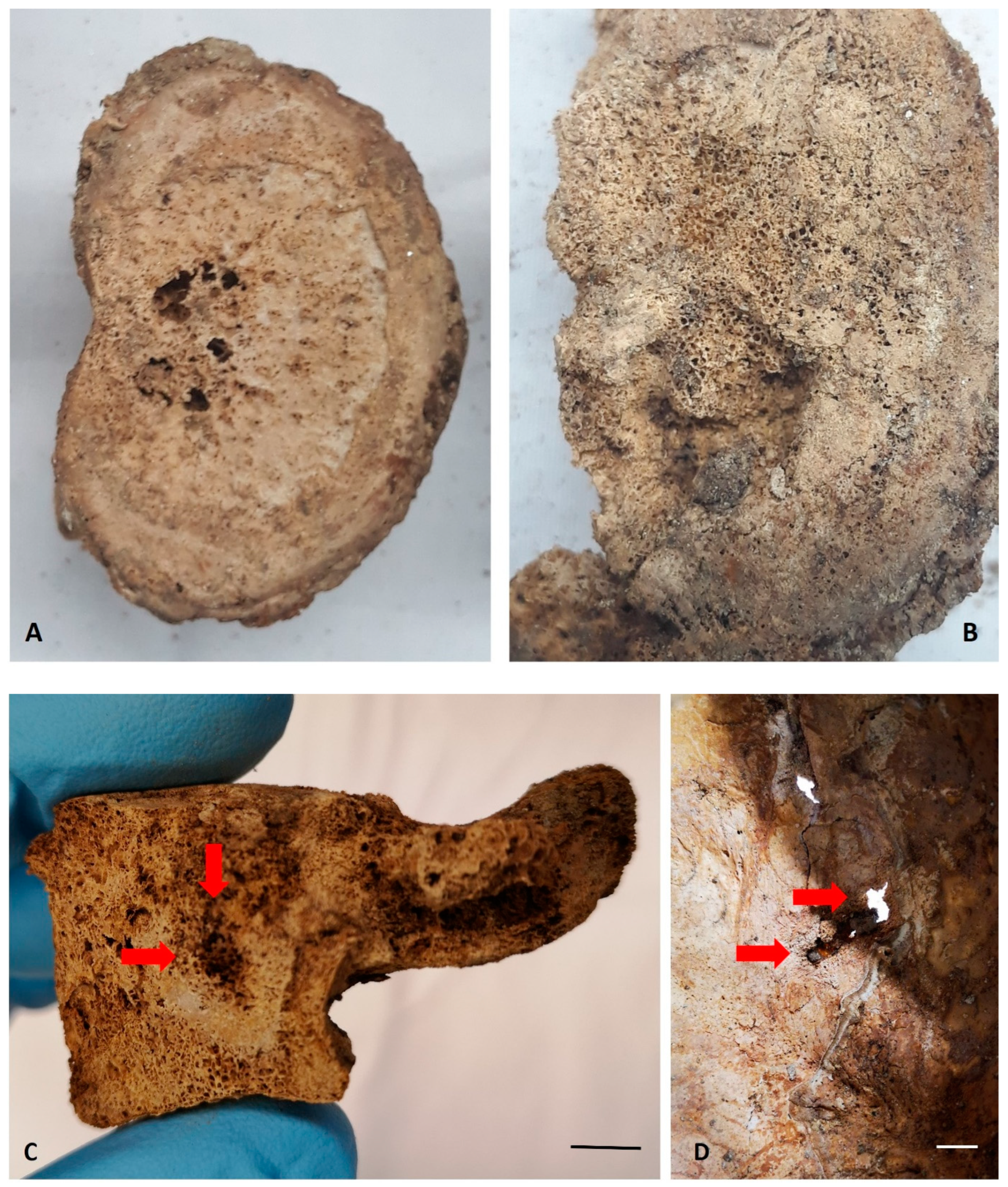 Heritage 07 00159 g007