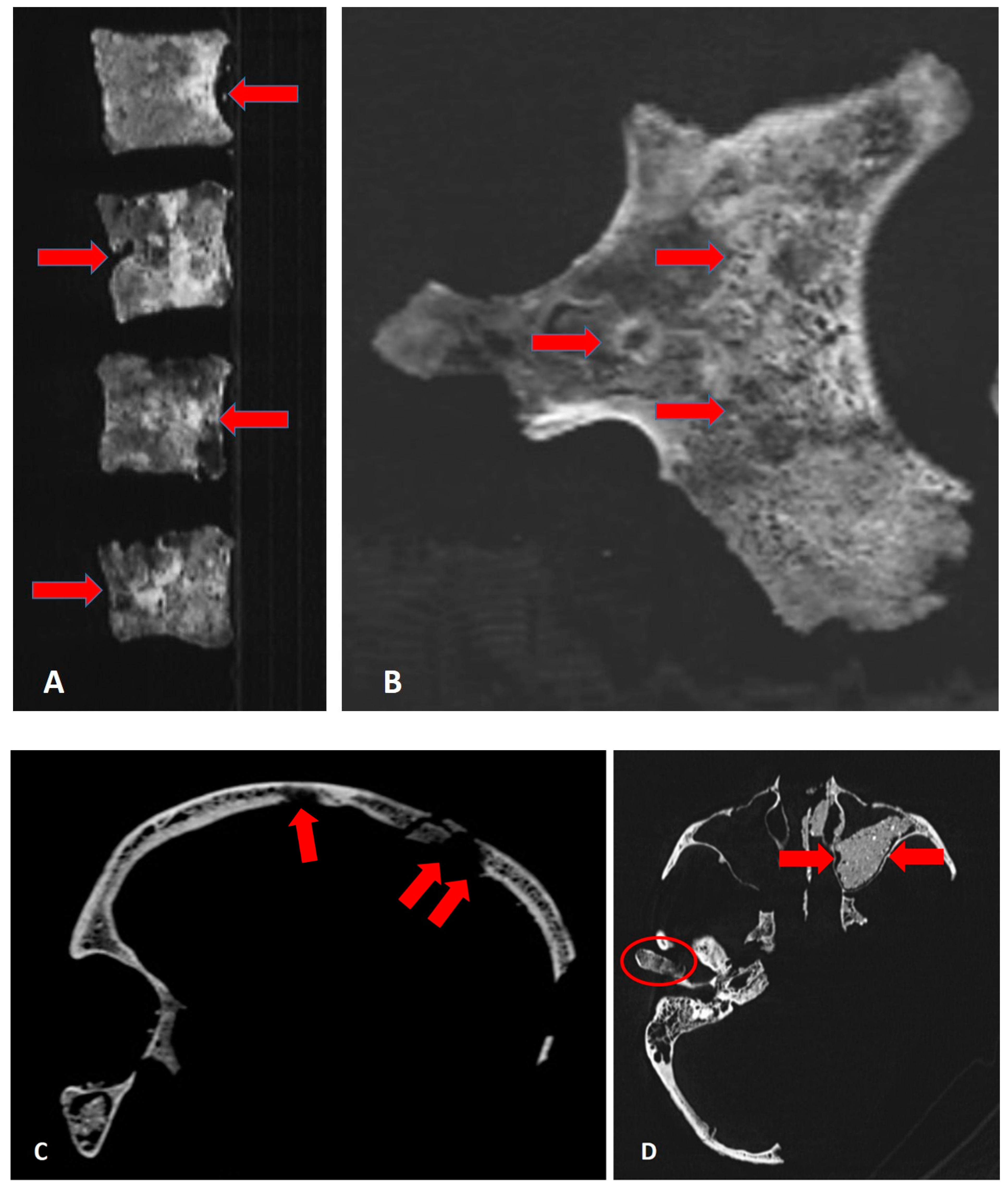 Heritage 07 00159 g008