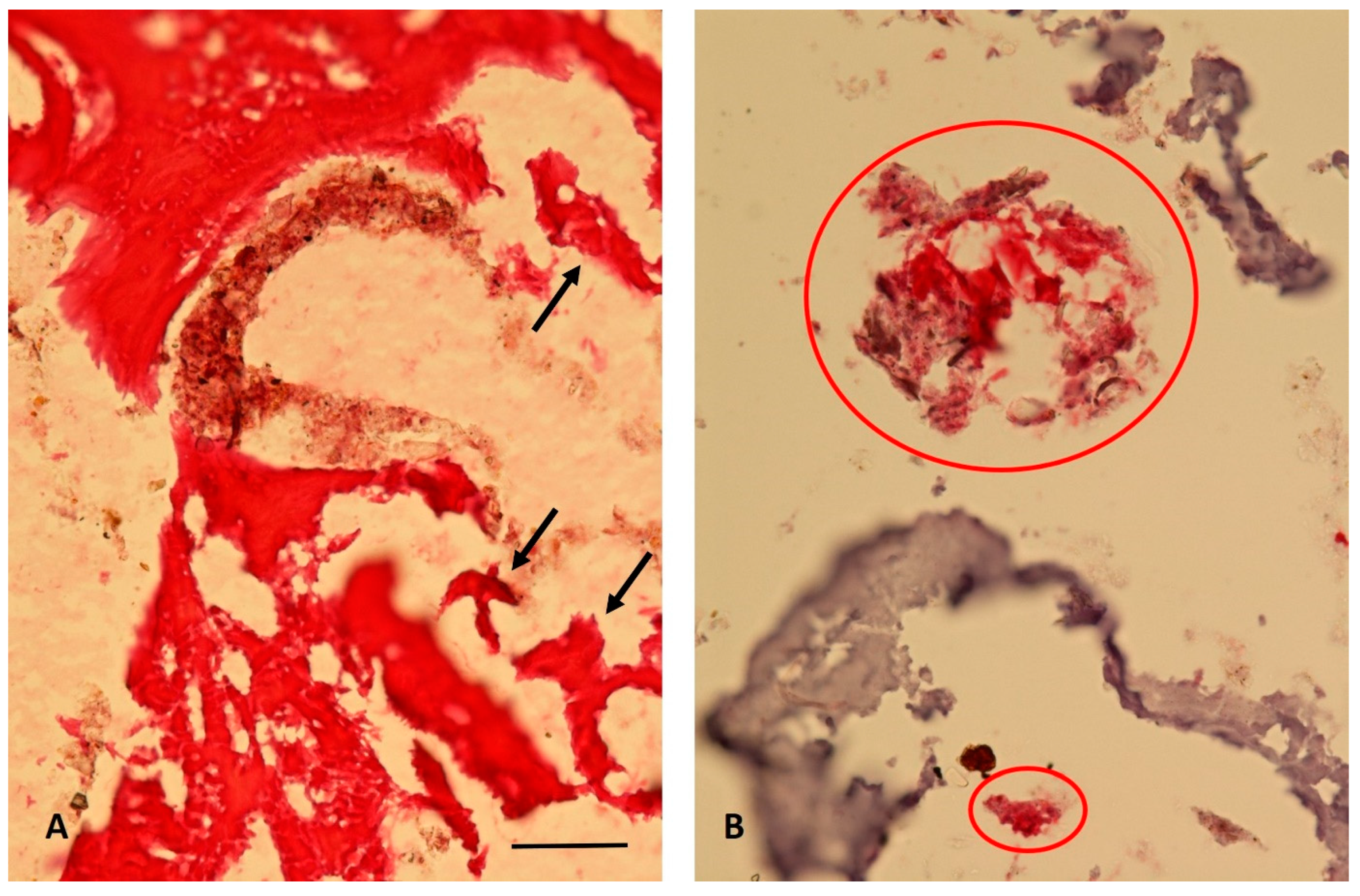 Heritage 07 00159 g011