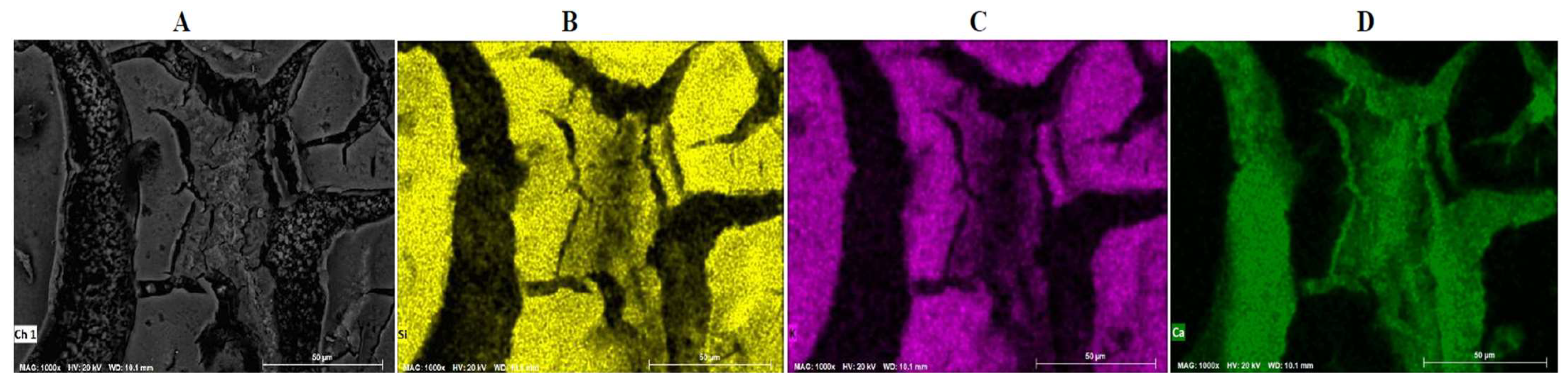 Heritage 07 00165 g006