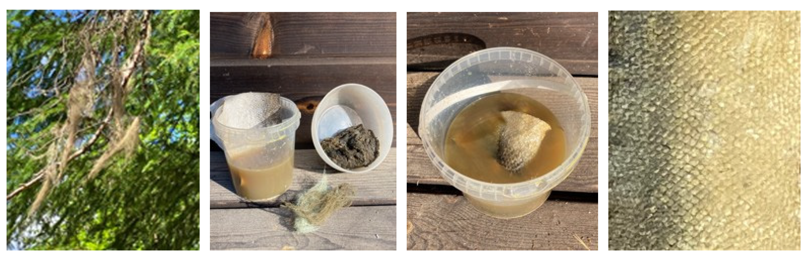 Heritage 07 00173 g008