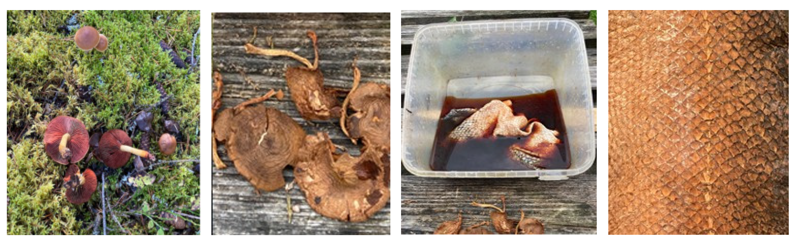 Heritage 07 00173 g010