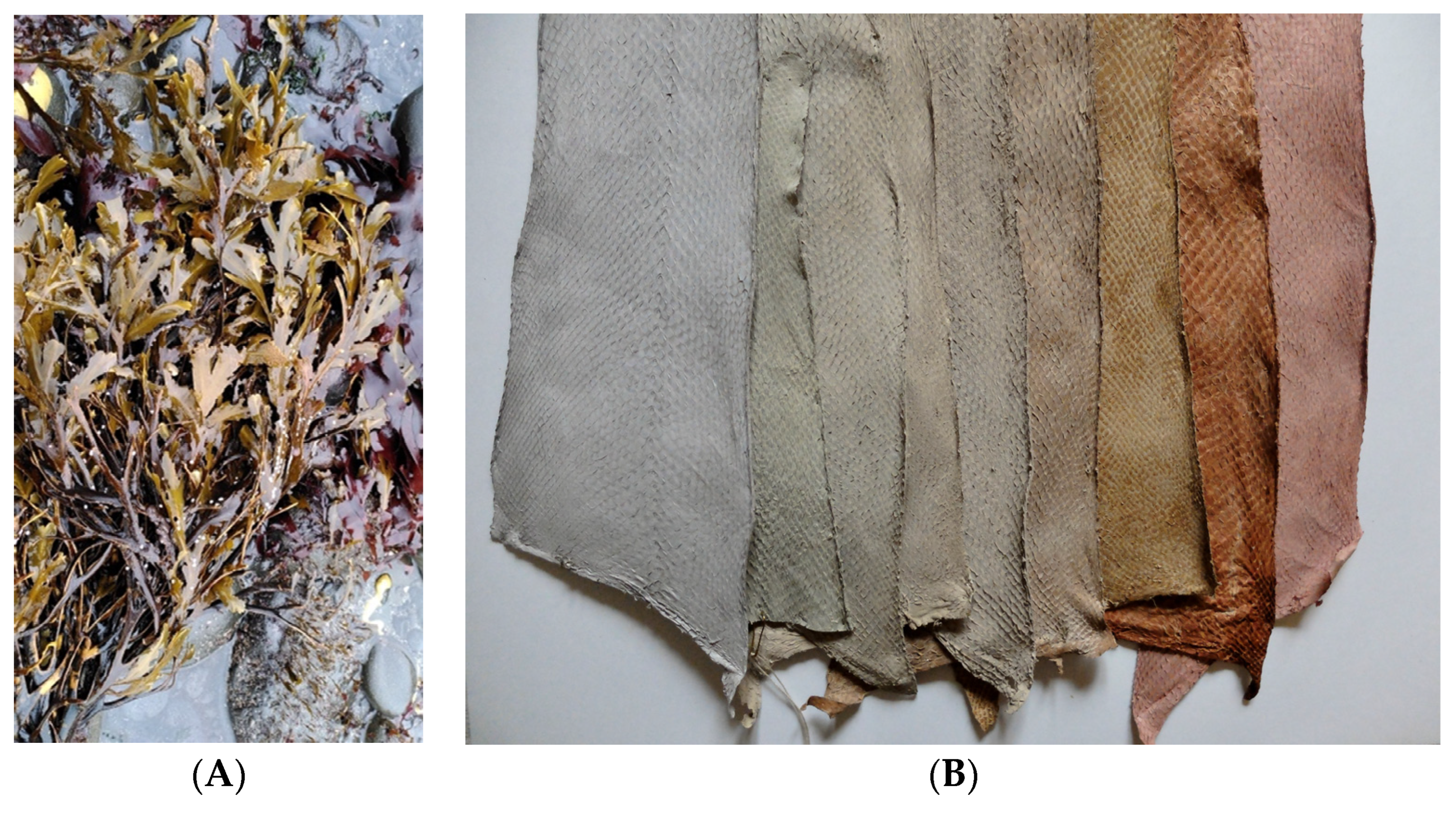 Heritage 07 00173 g013