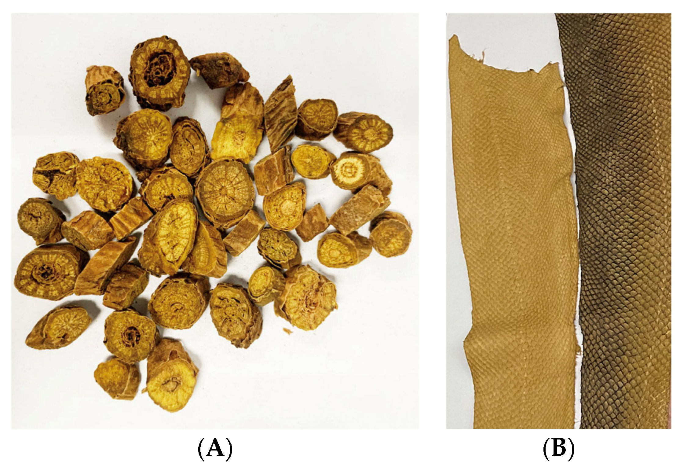 Heritage 07 00173 g018