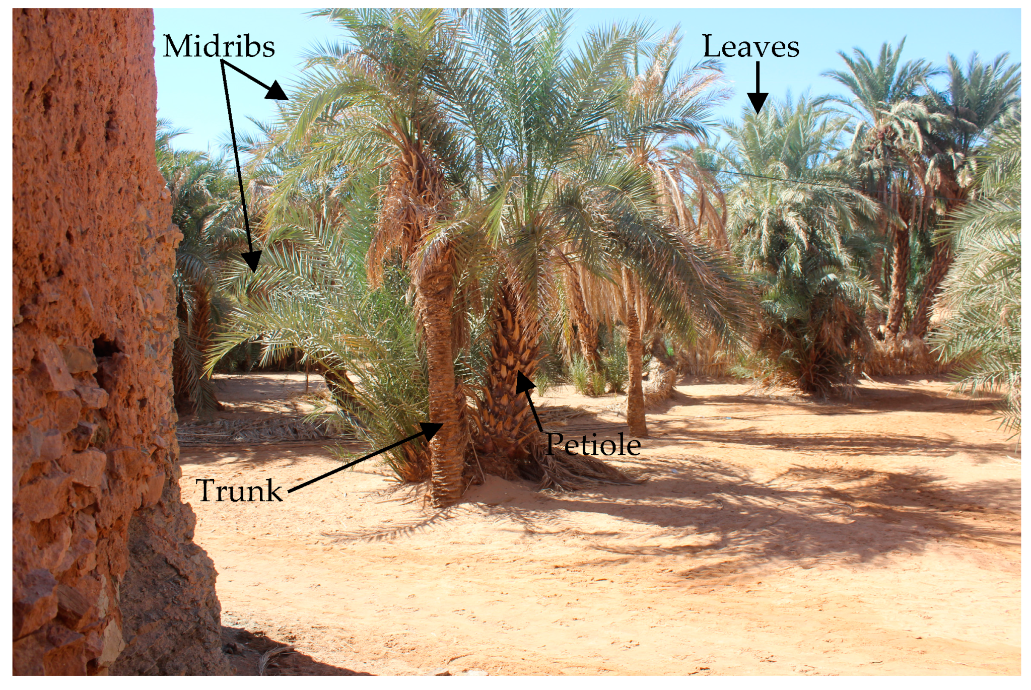 Heritage 07 00181 g016