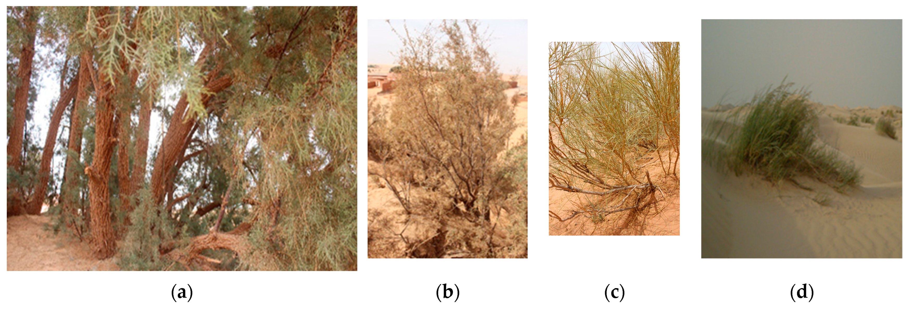 Heritage 07 00181 g017