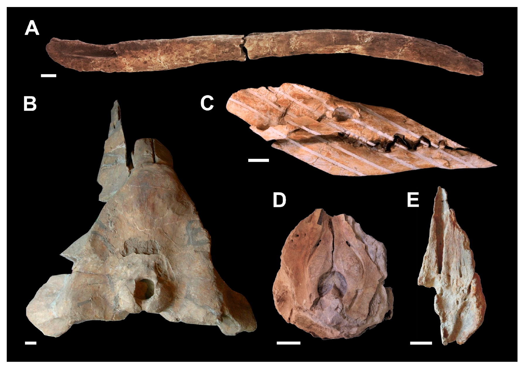 Heritage 07 00233 g002