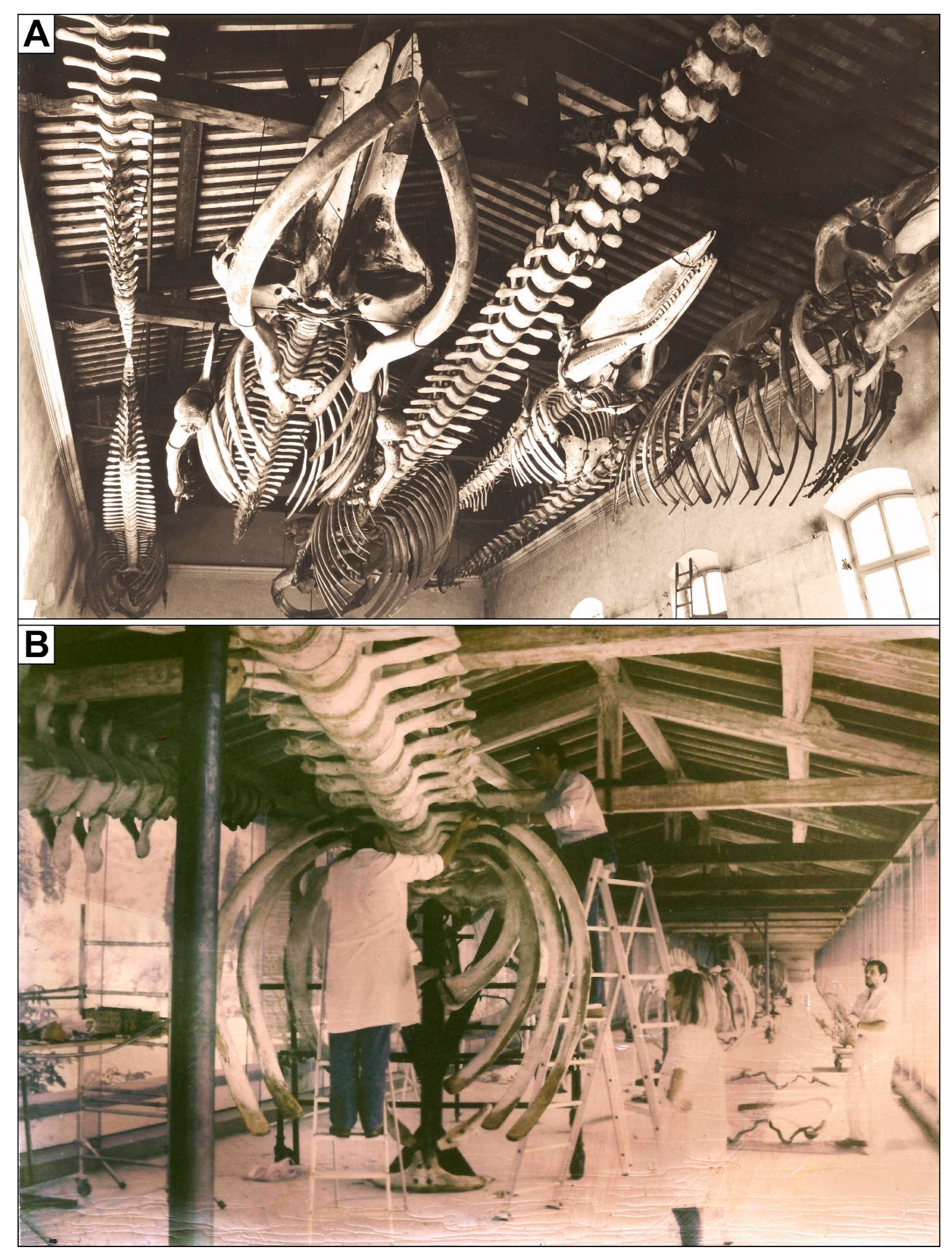 Heritage 07 00233 g003