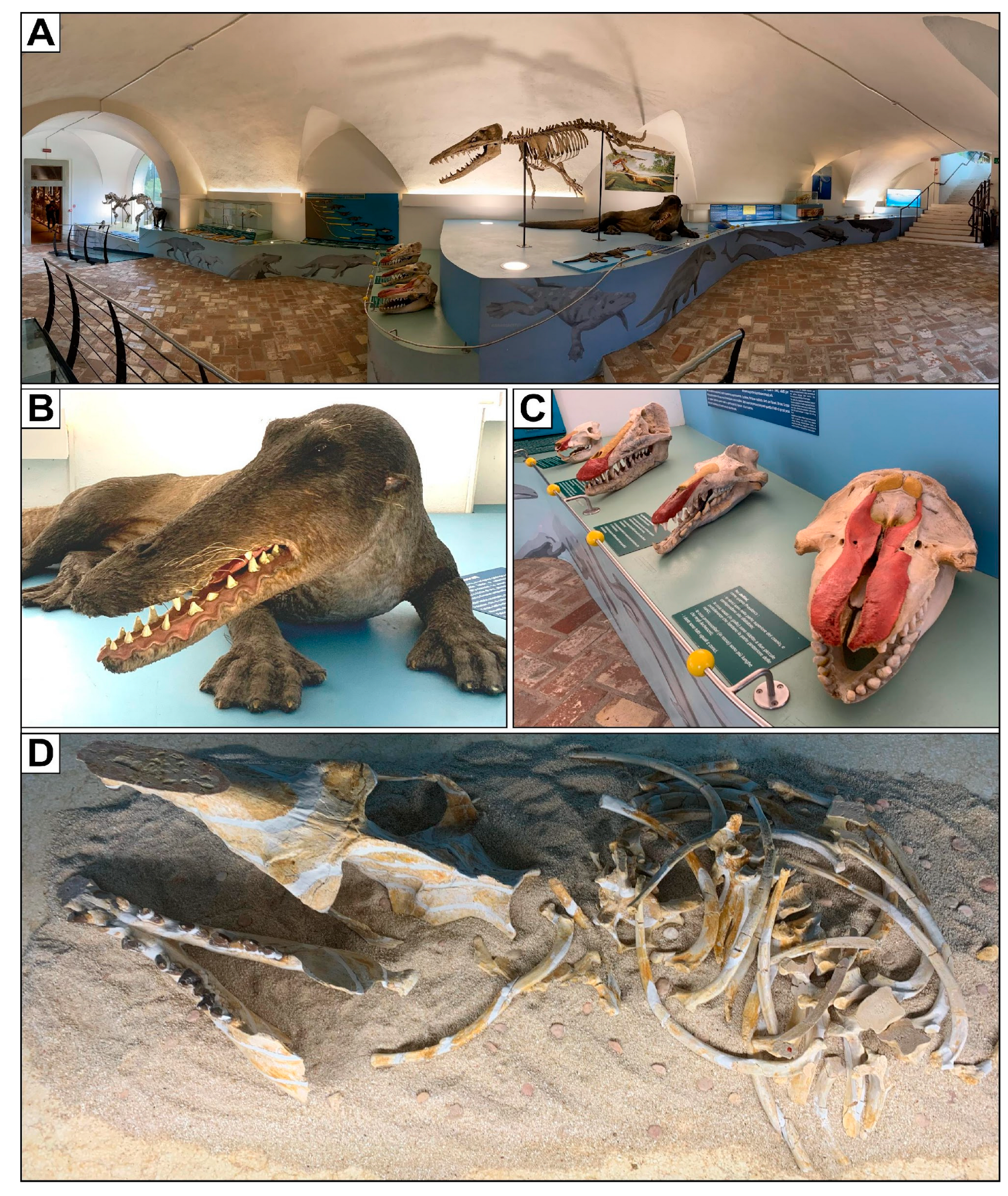 Heritage 07 00233 g005