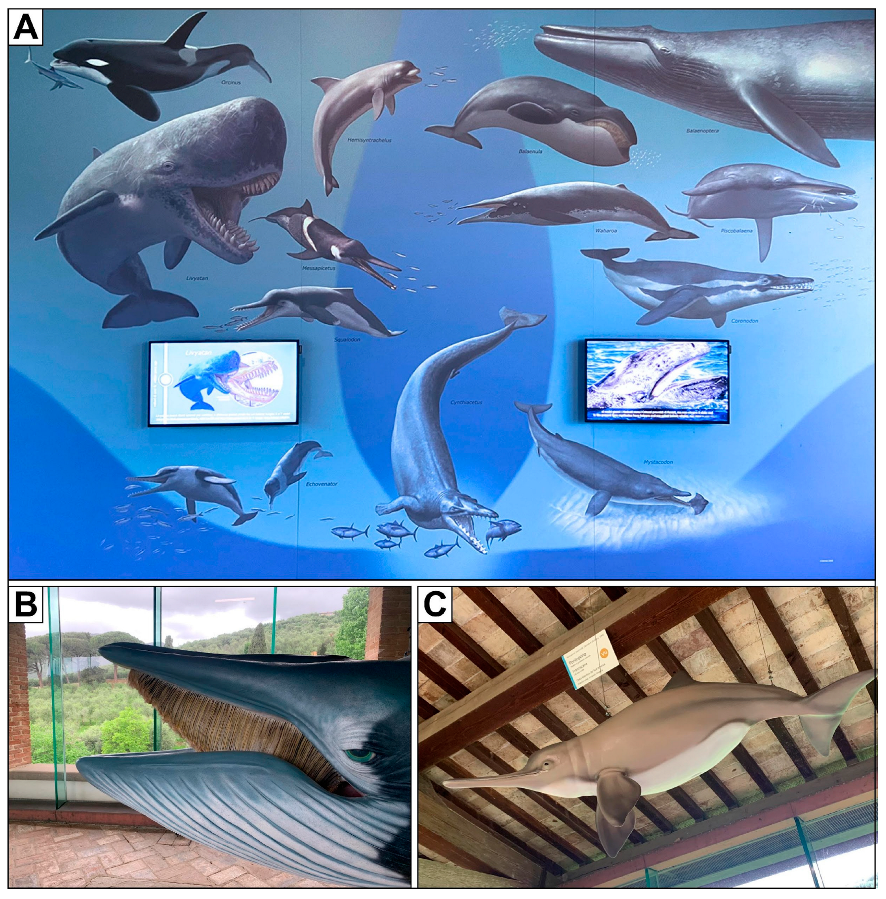 Heritage 07 00233 g006