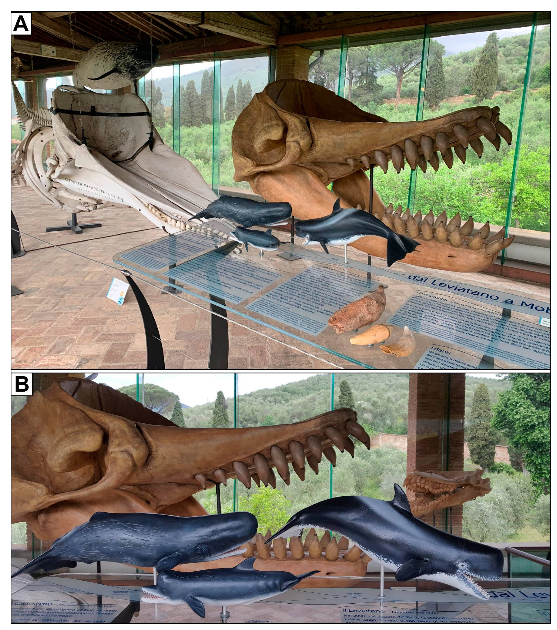 Heritage 07 00233 g007