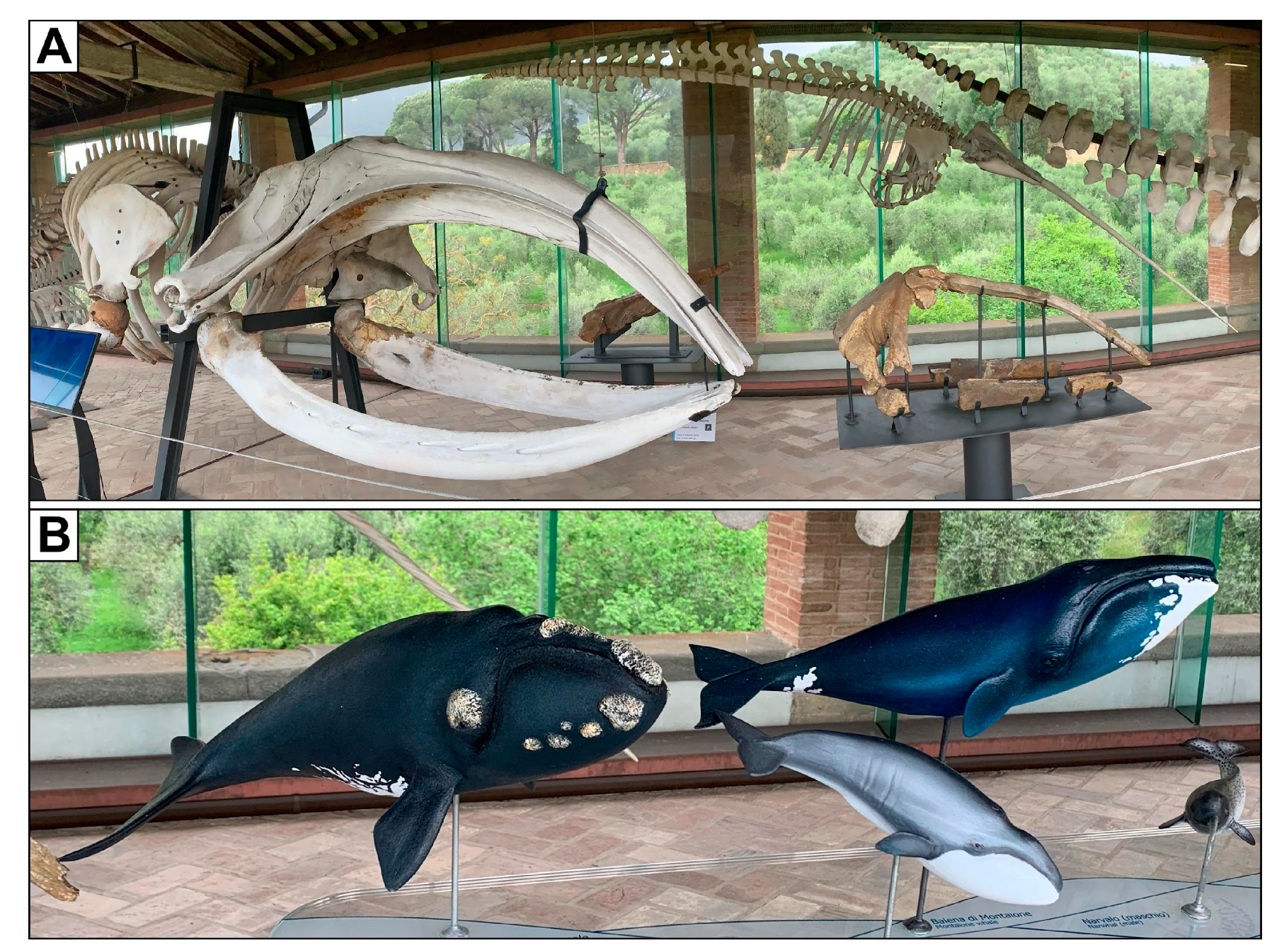 Heritage 07 00233 g008