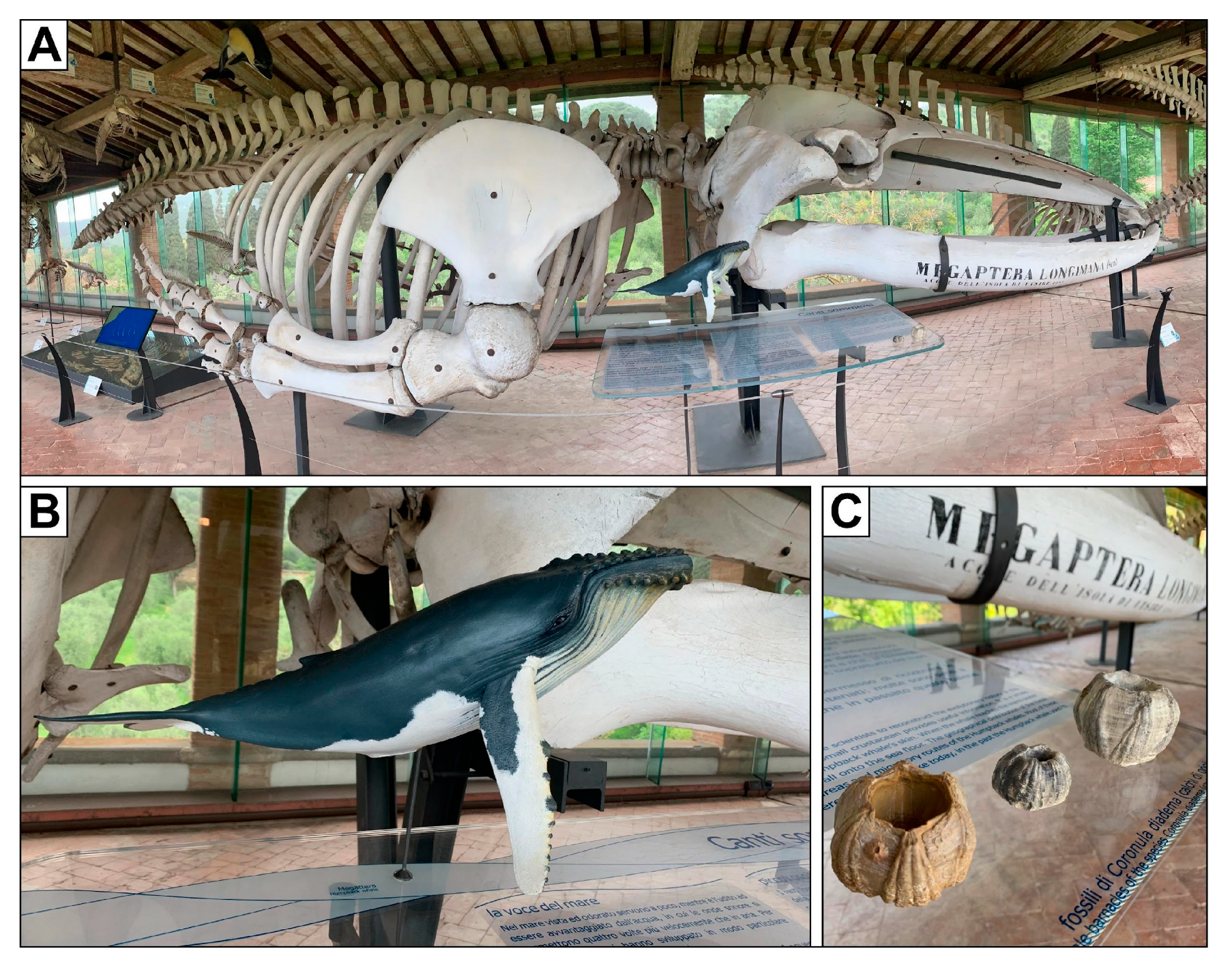 Heritage 07 00233 g010