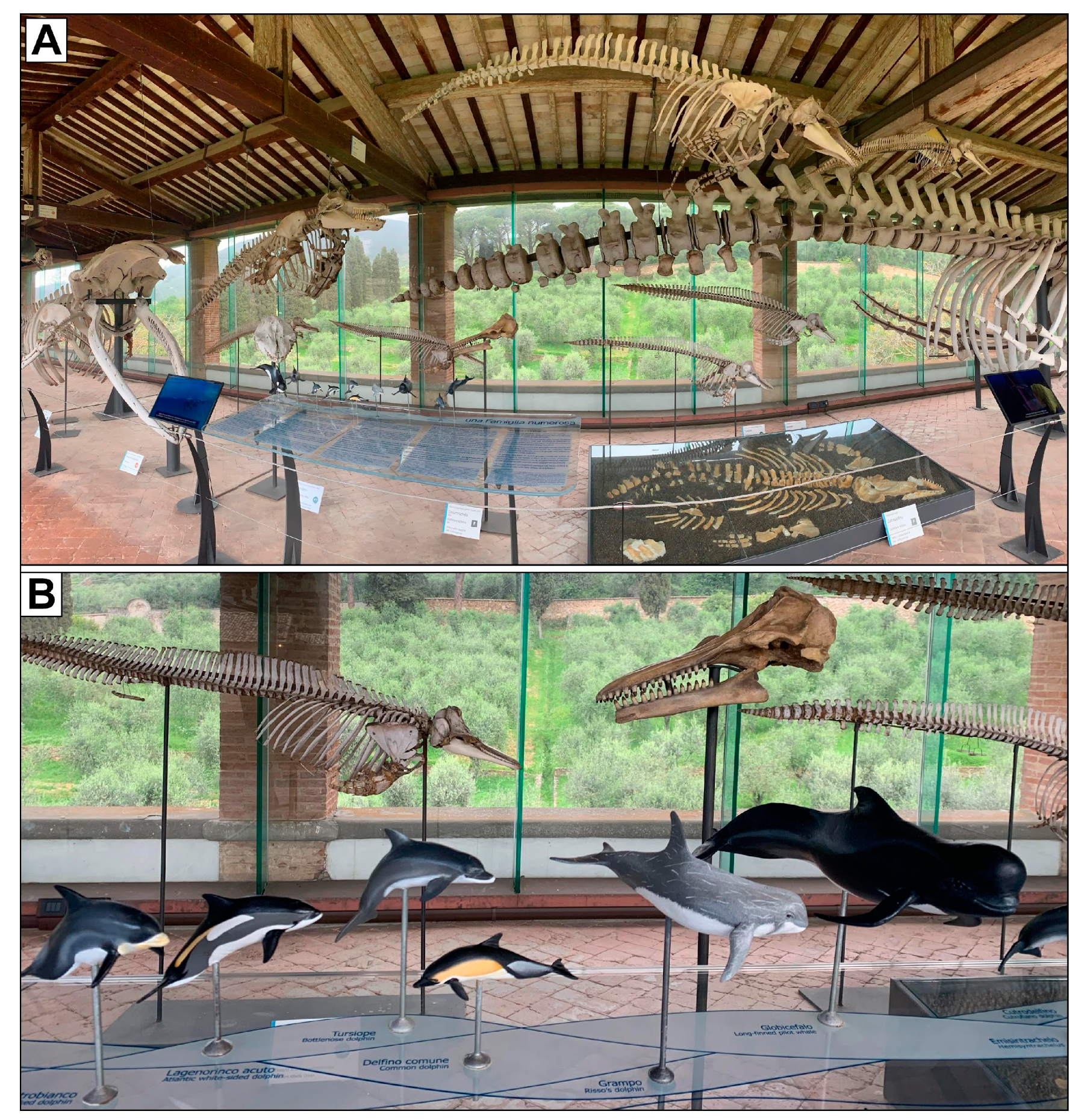 Heritage 07 00233 g011