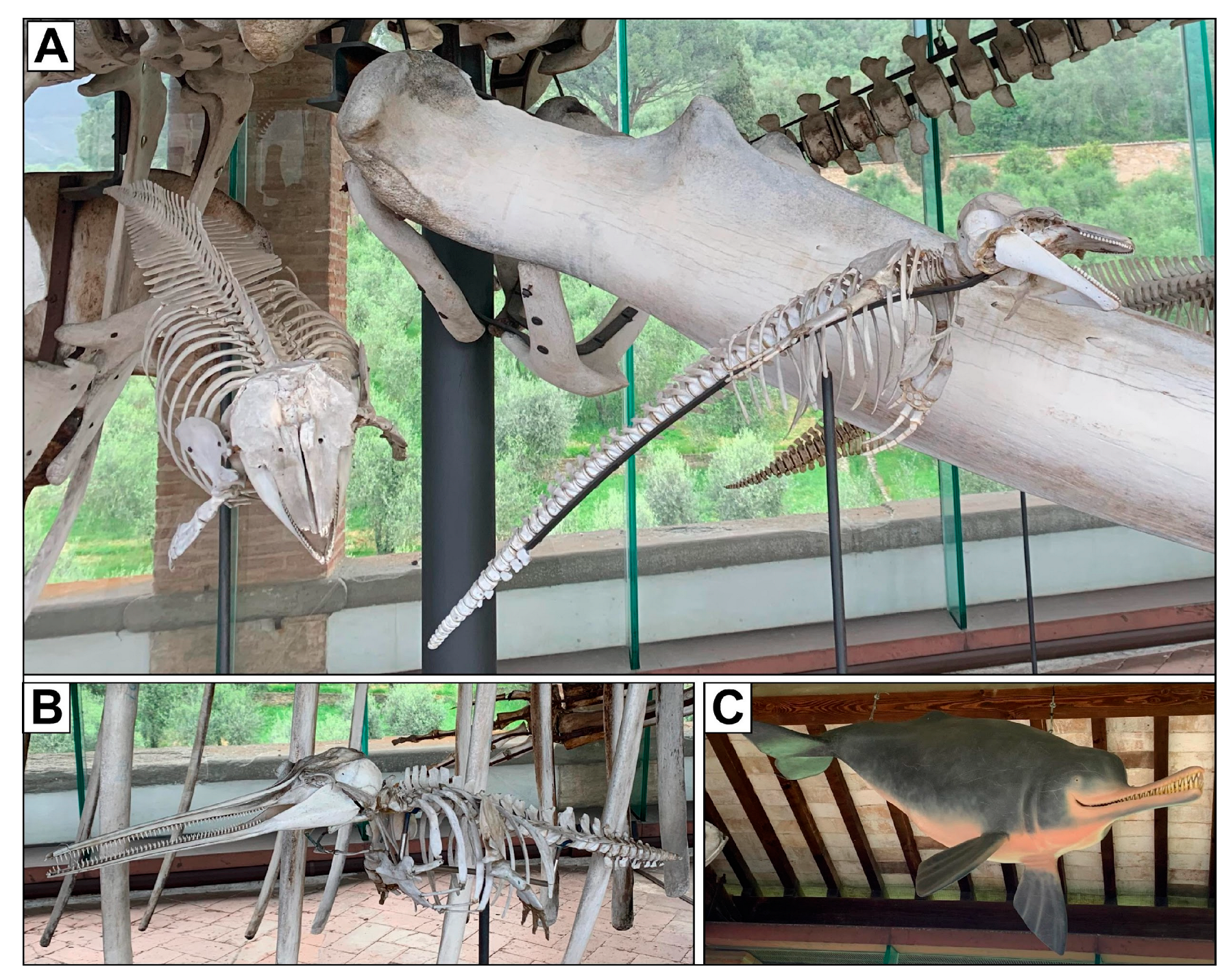 Heritage 07 00233 g012