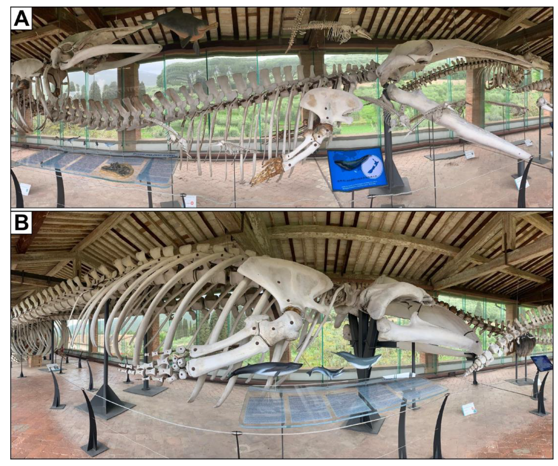 Heritage 07 00233 g013