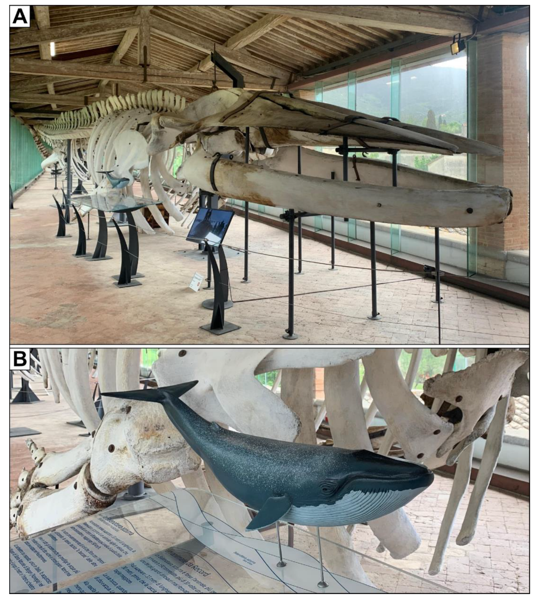 Heritage 07 00233 g014