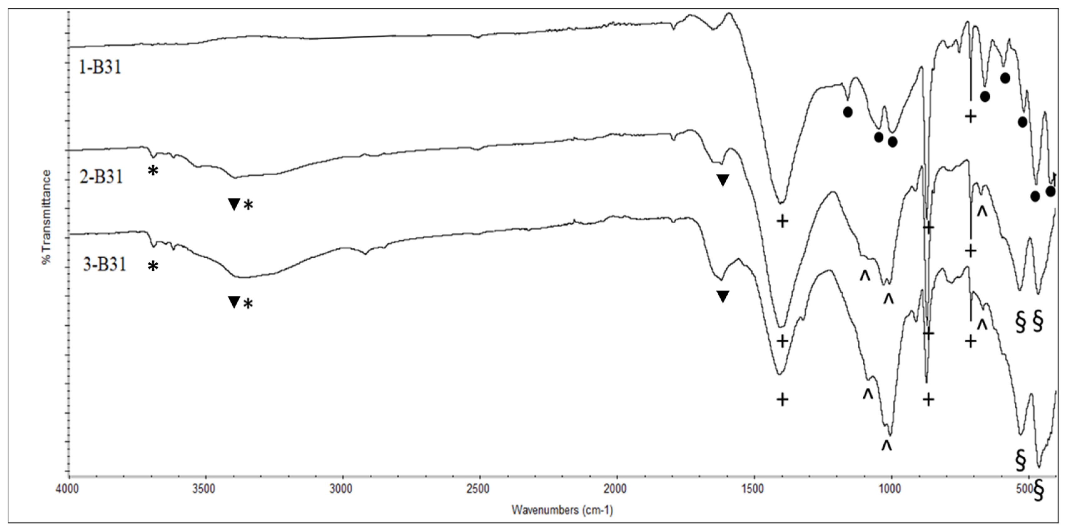 Heritage 07 00235 g006