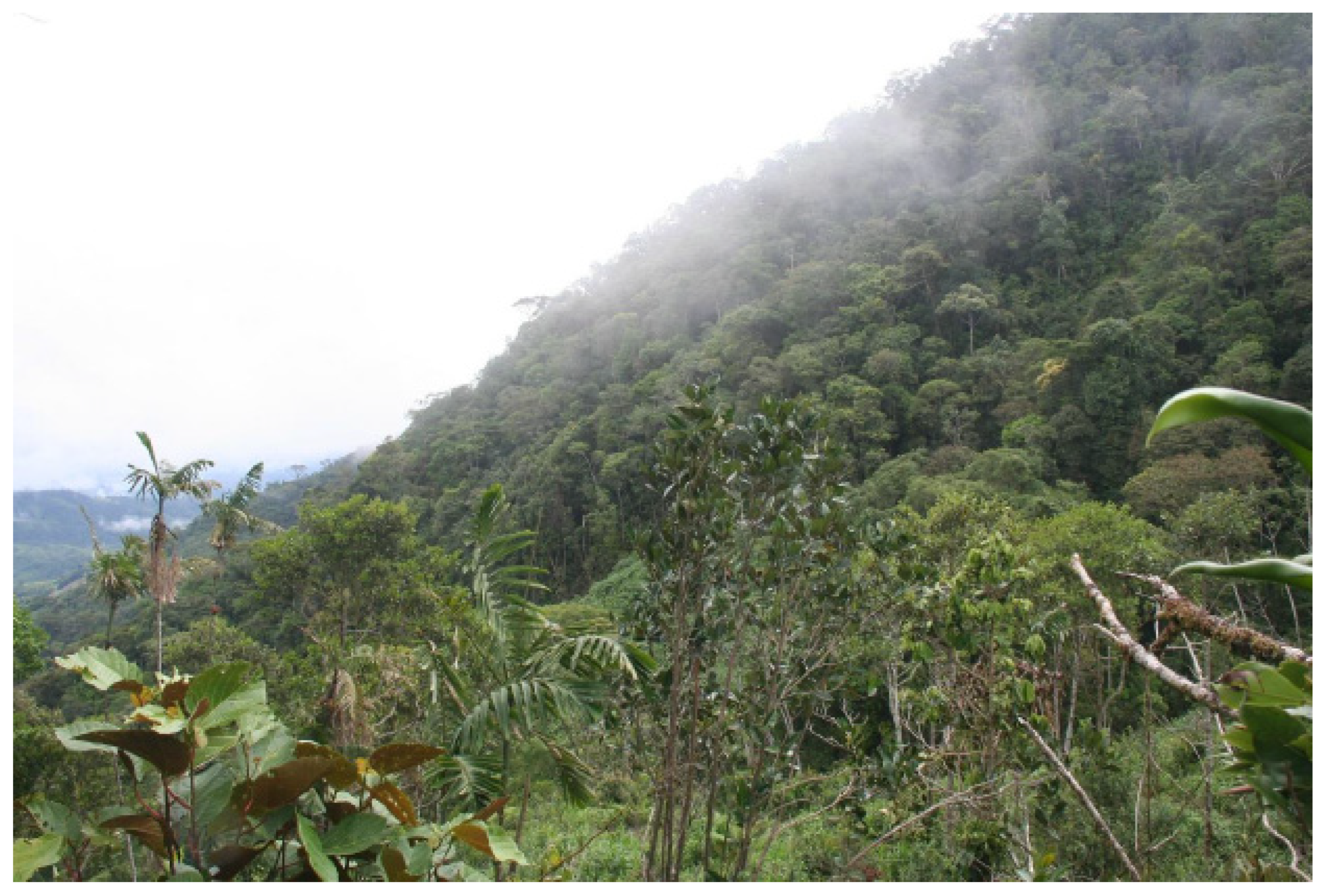 Heritage 07 00238 g011