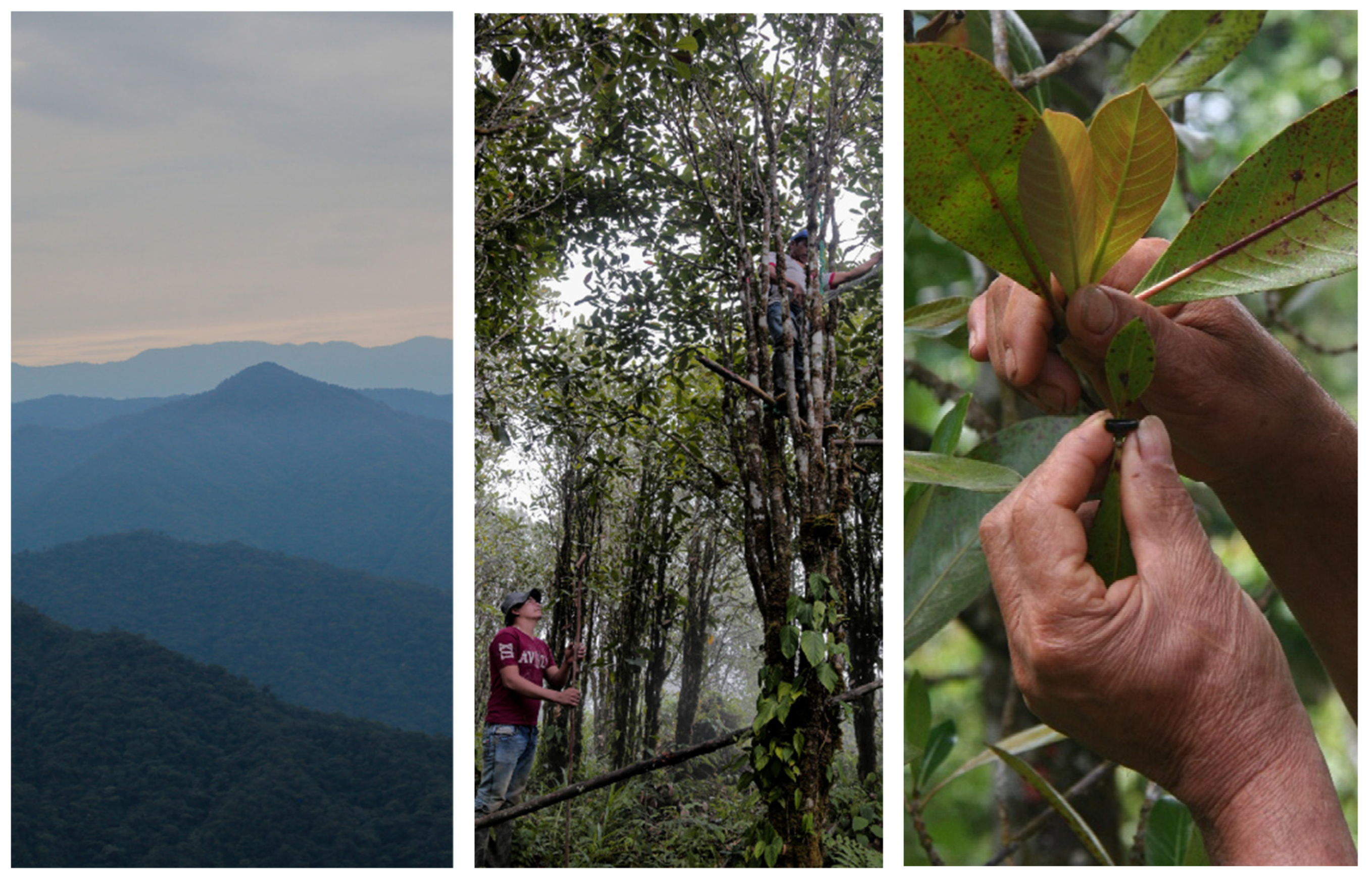 Heritage 07 00238 g012