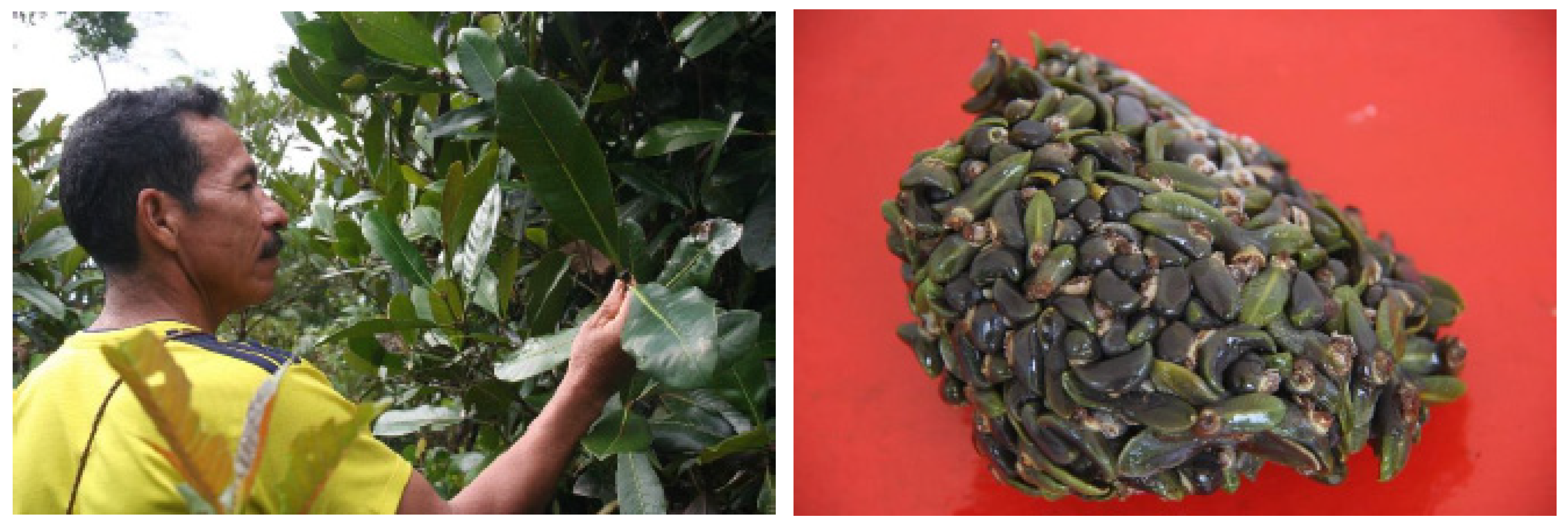 Heritage 07 00238 g013