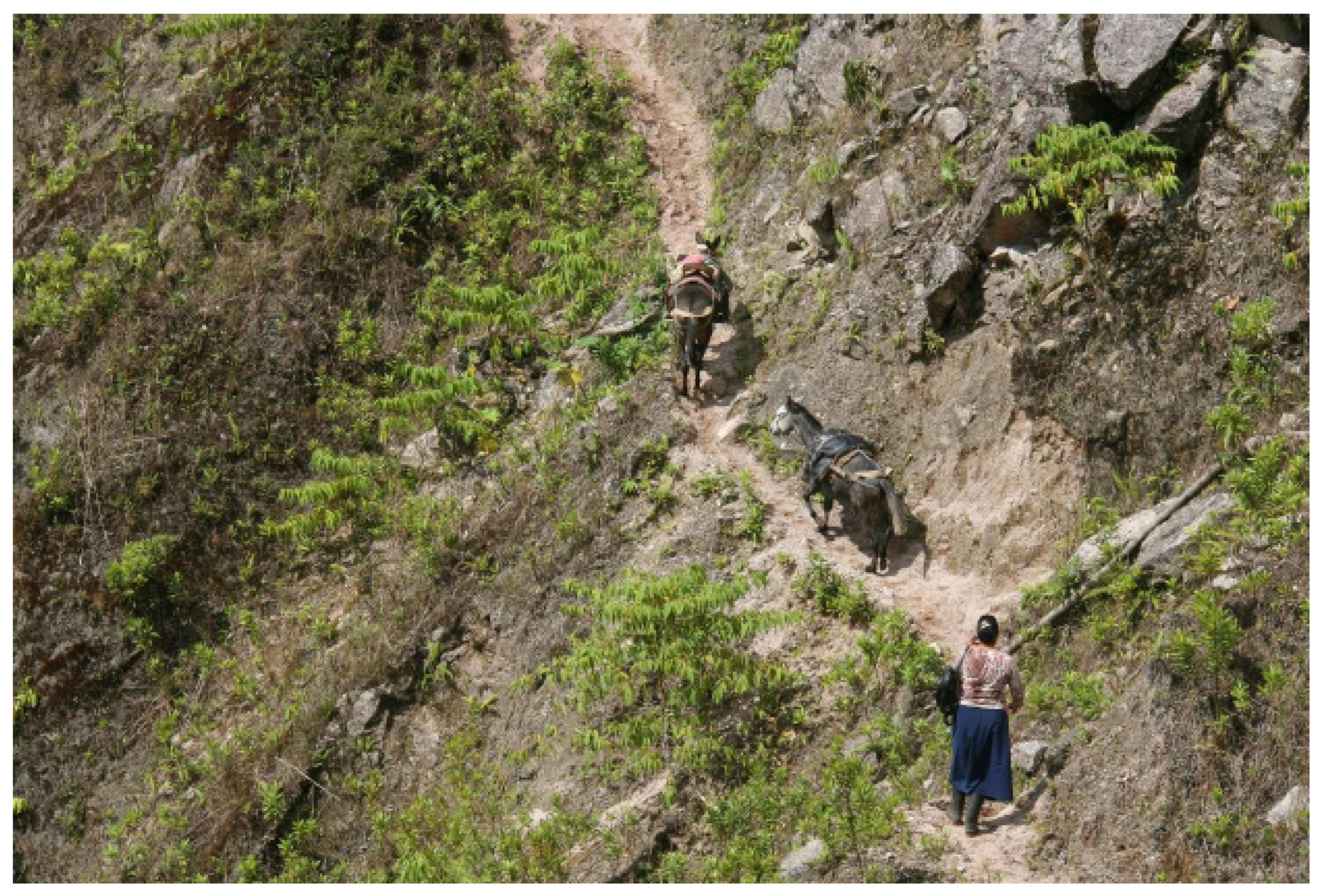 Heritage 07 00238 g014