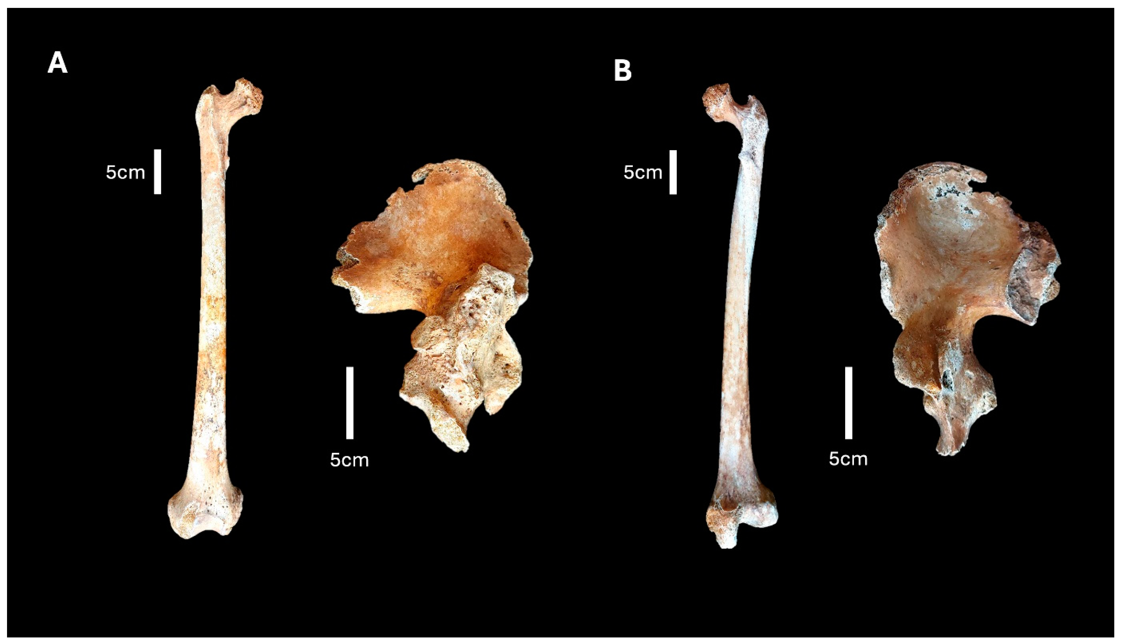 Heritage 07 00249 g002