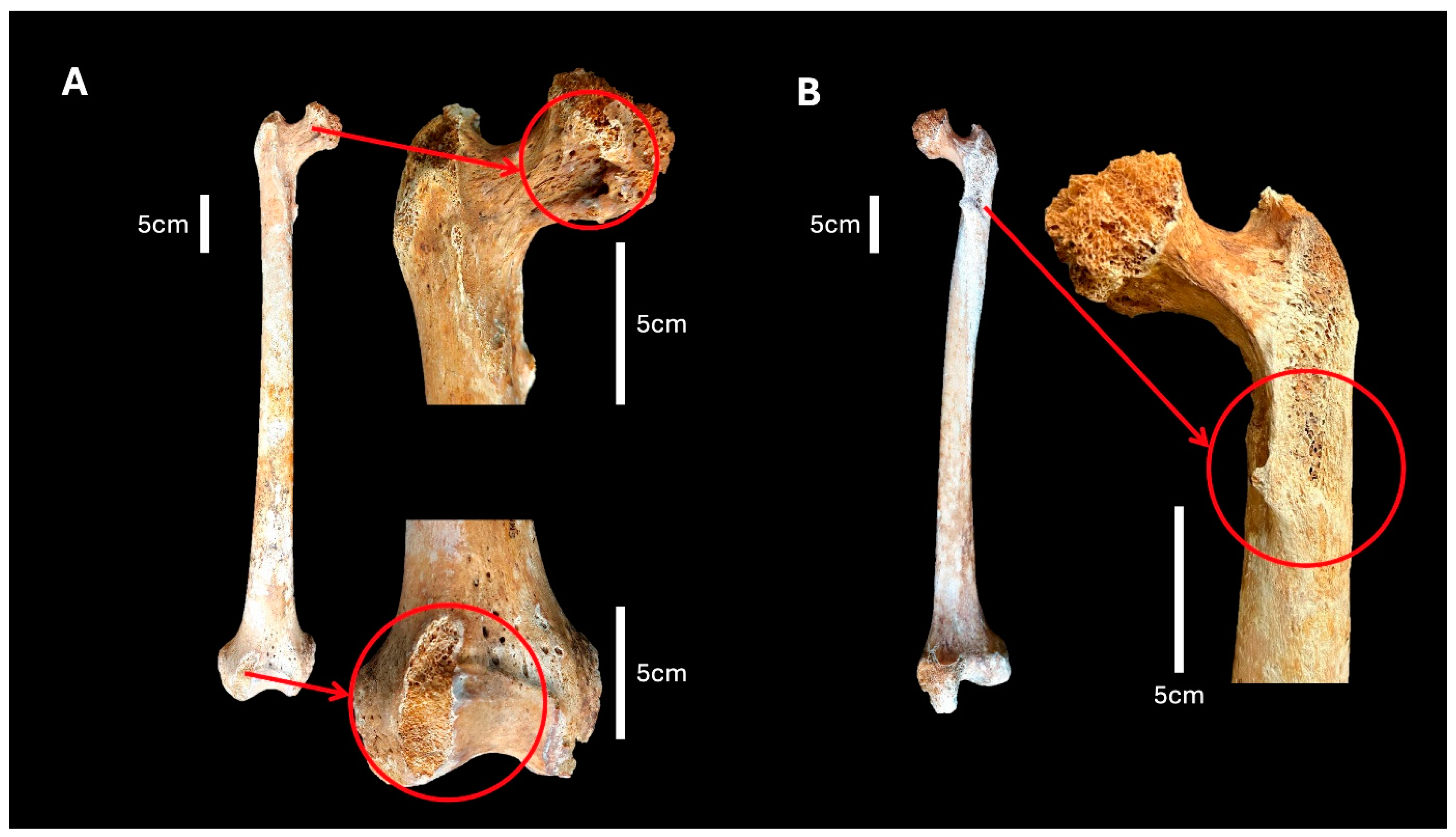 Heritage 07 00249 g003