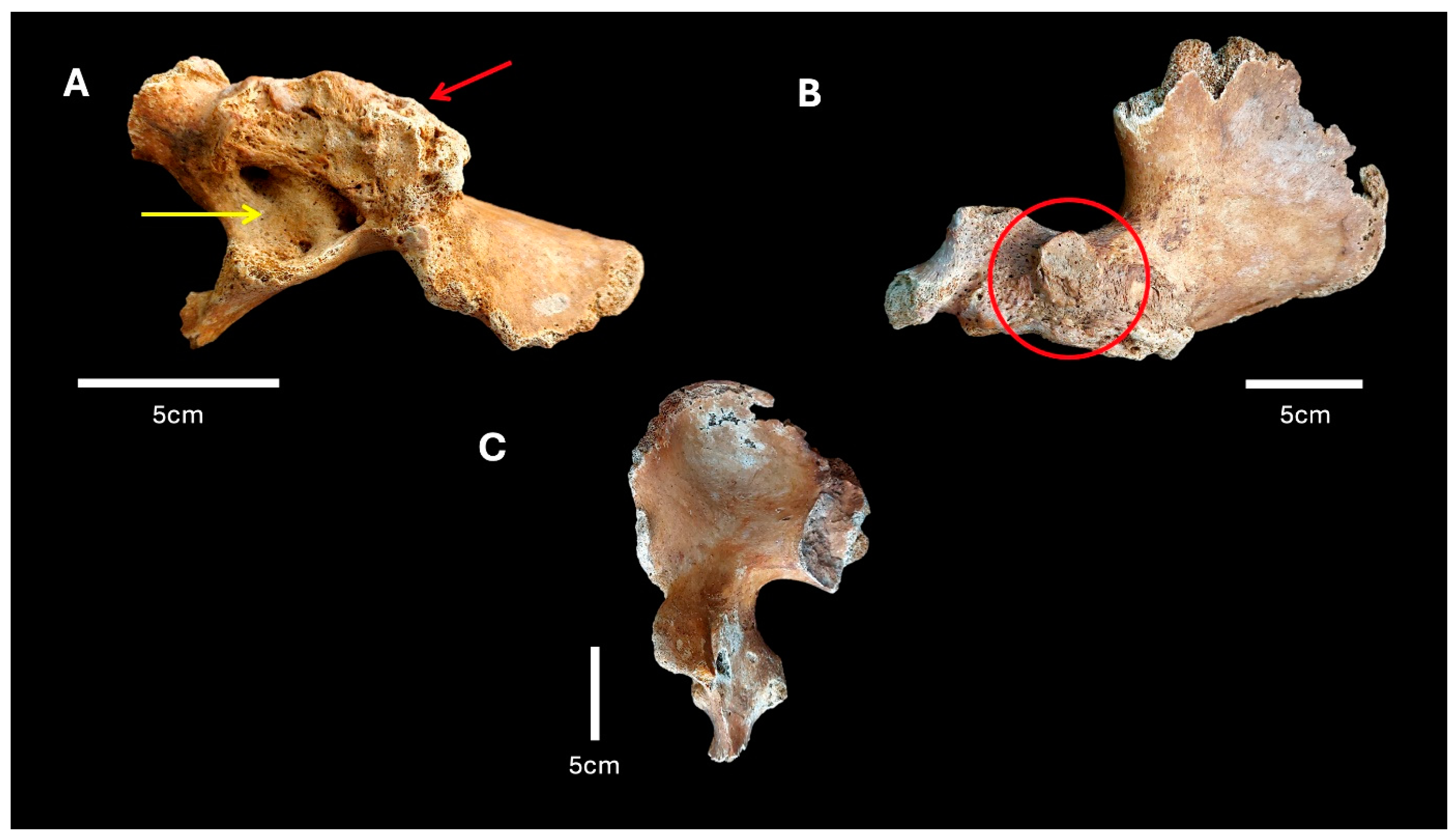 Heritage 07 00249 g004