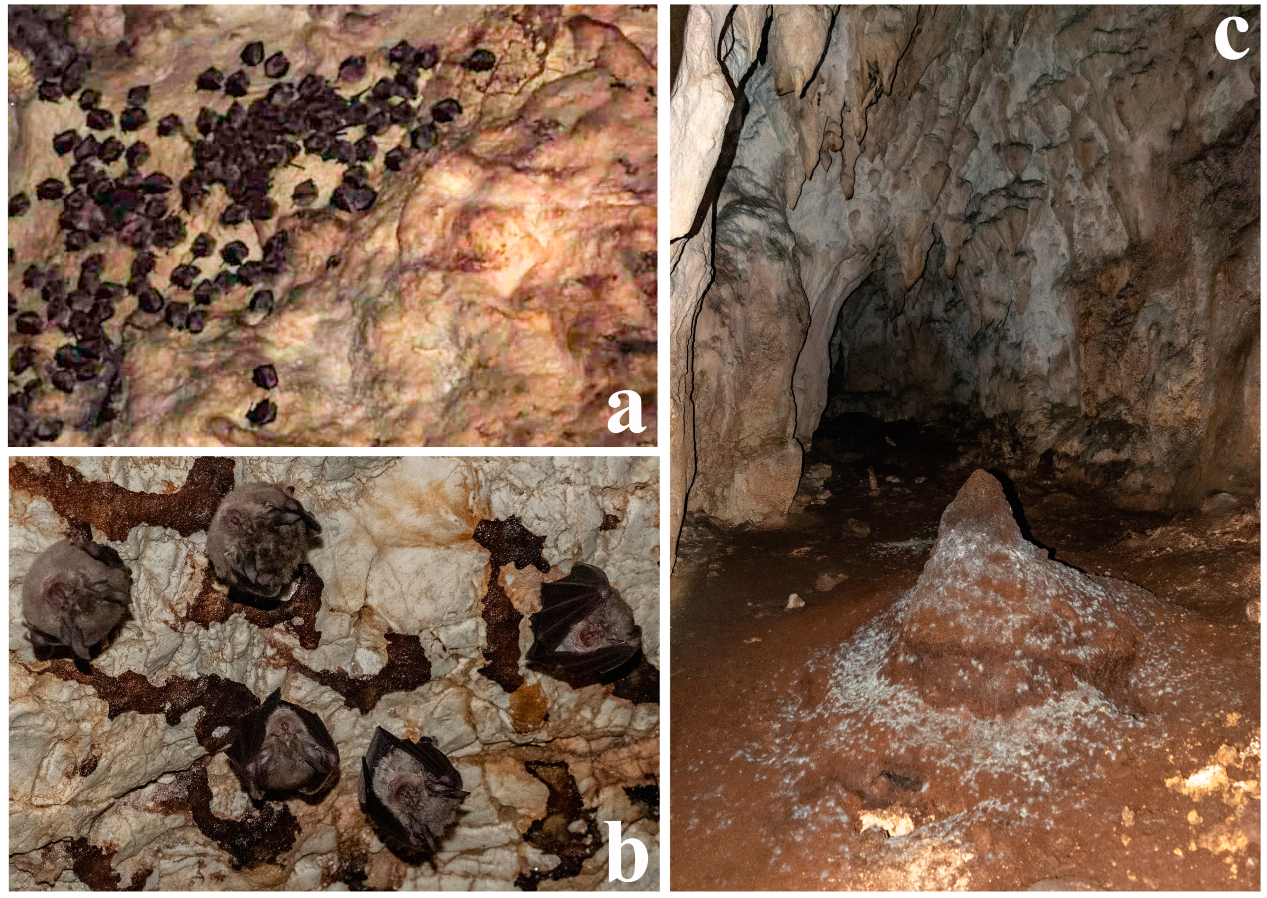 Heritage 07 00274 g011