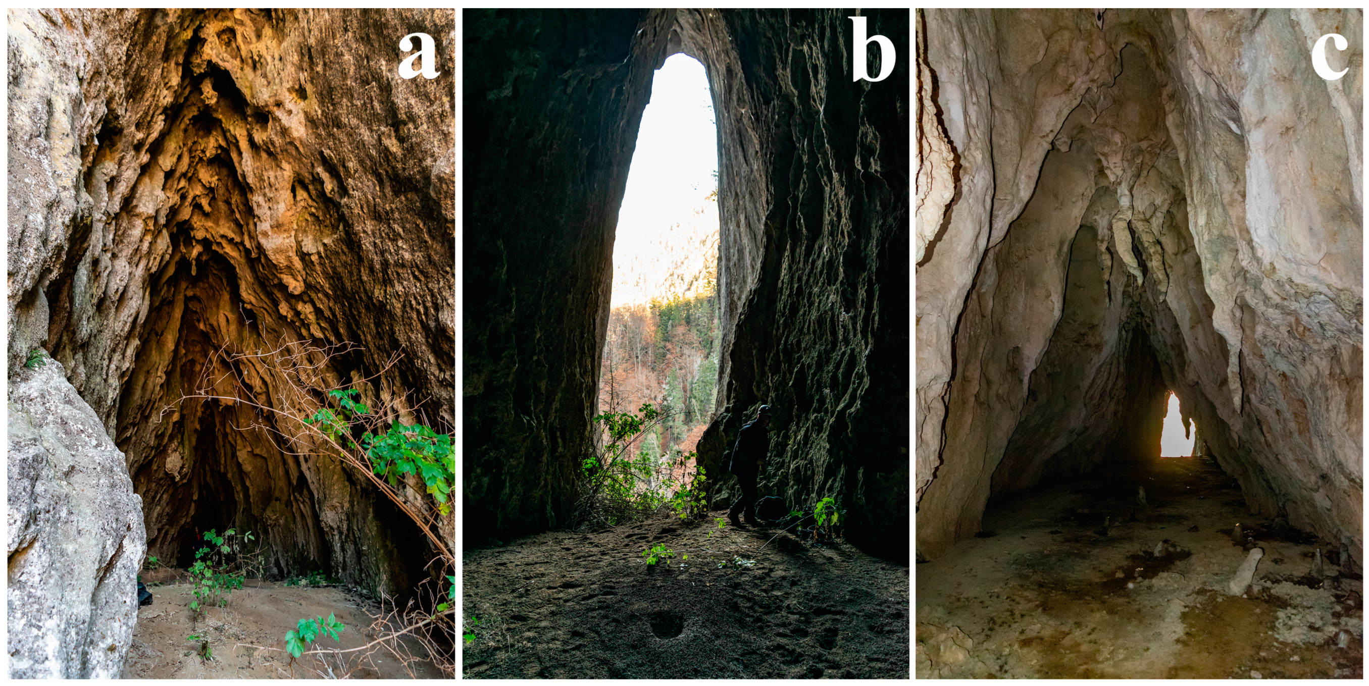 Heritage 07 00274 g012