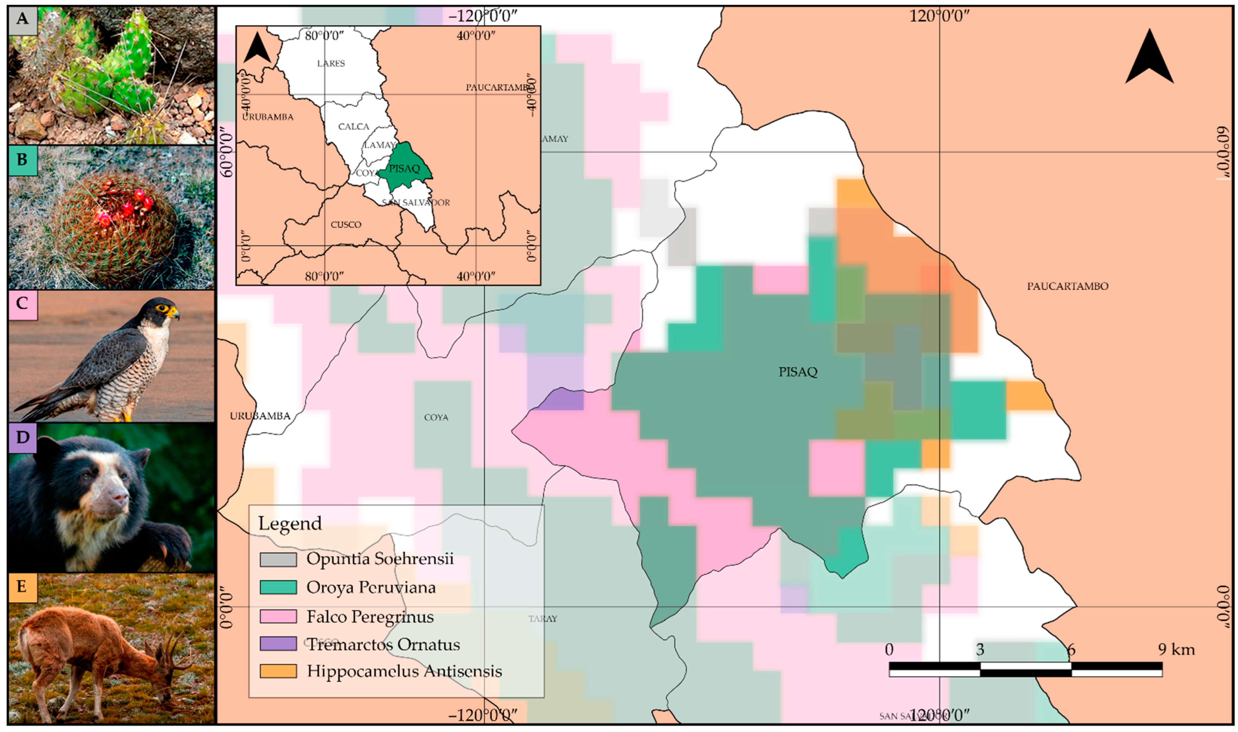 Heritage 07 00303 g010