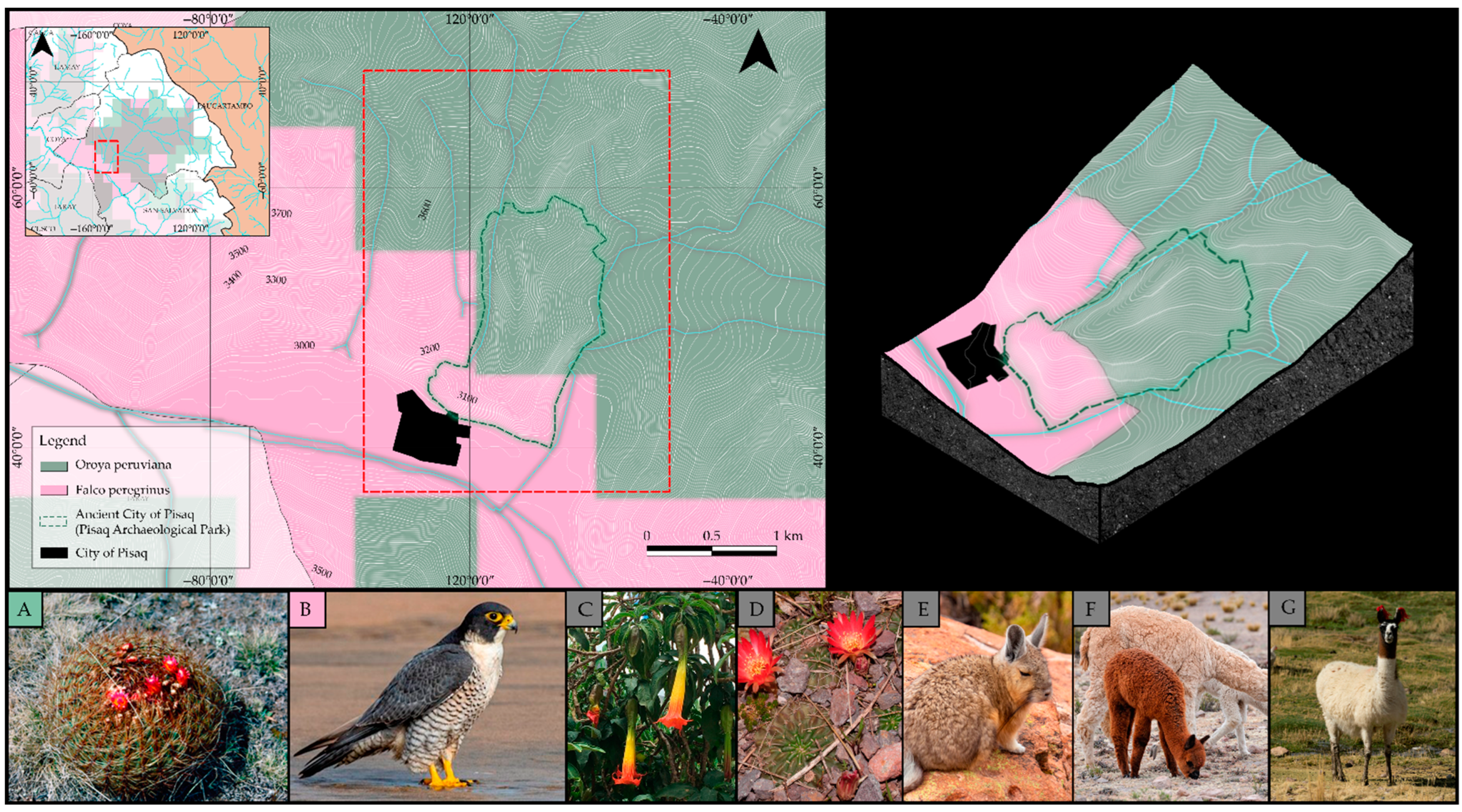 Heritage 07 00303 g013