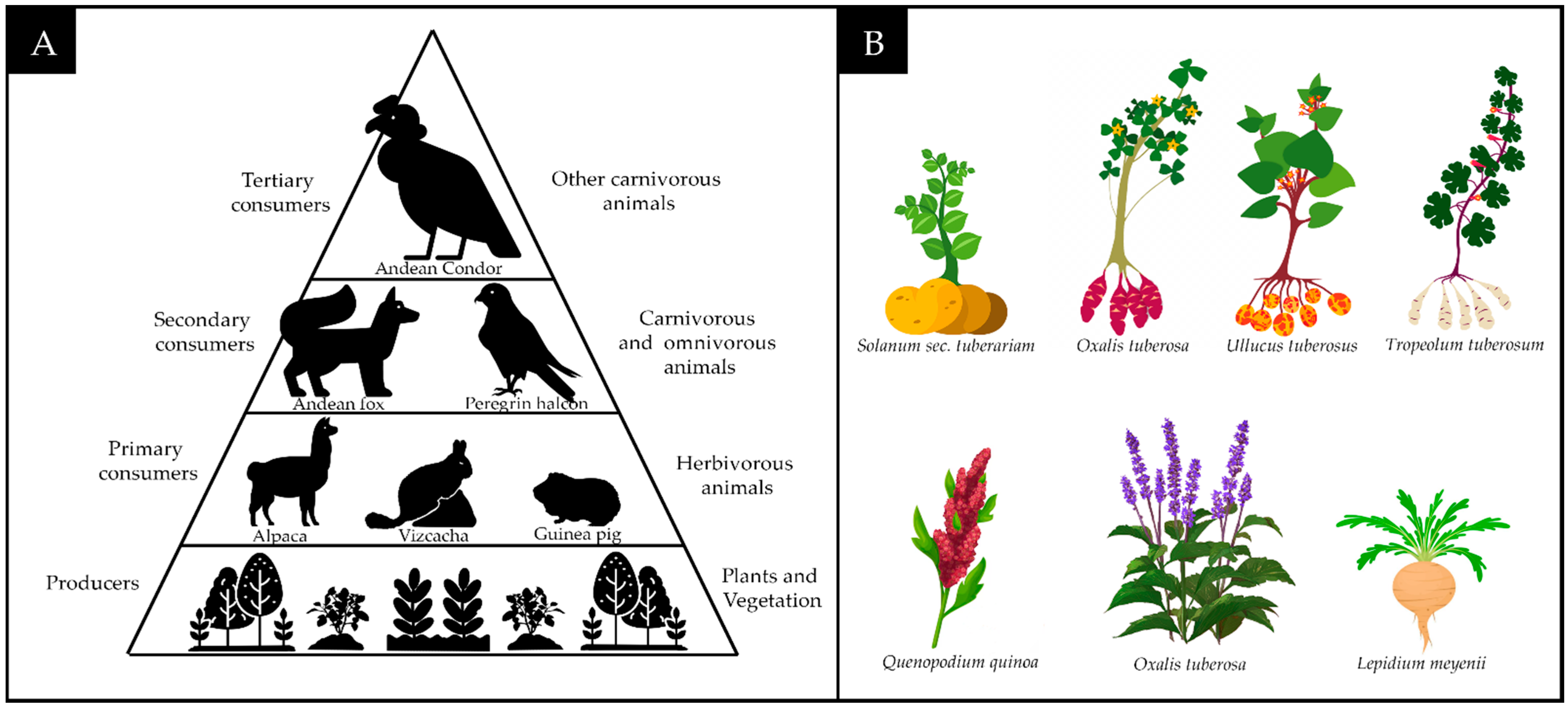 Heritage 07 00303 g025