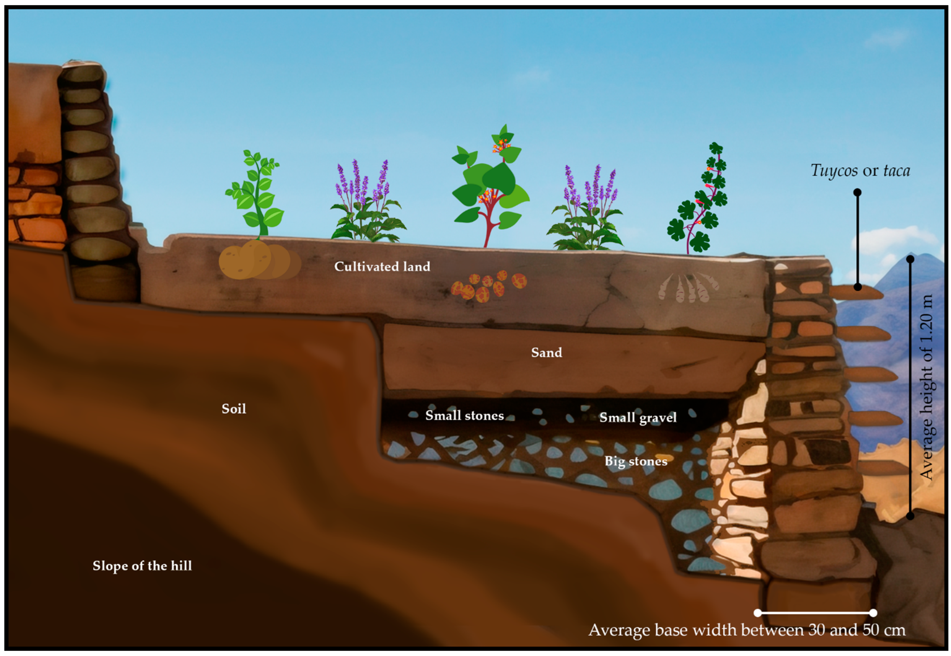 Heritage 07 00303 g026