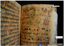 Heritage 07 00305 i002