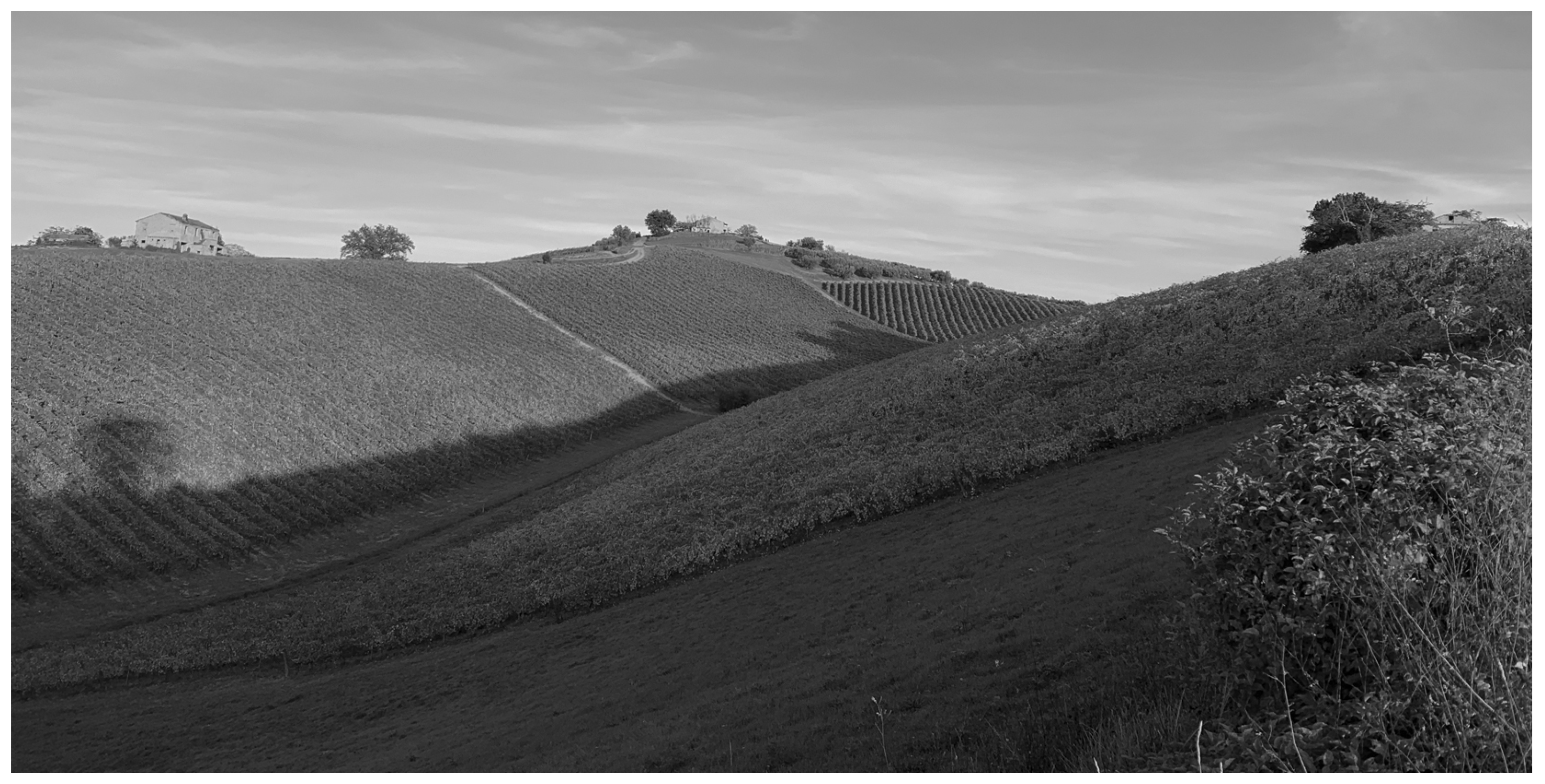 Heritage 07 00314 g008