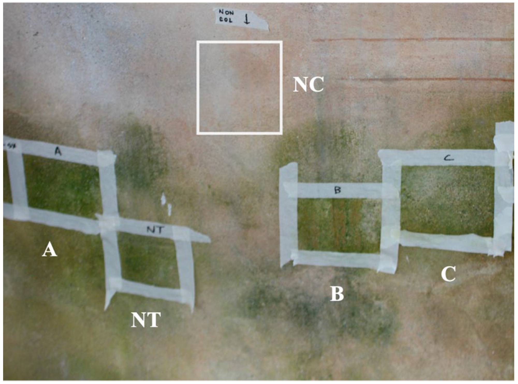 Heritage 07 00318 g002