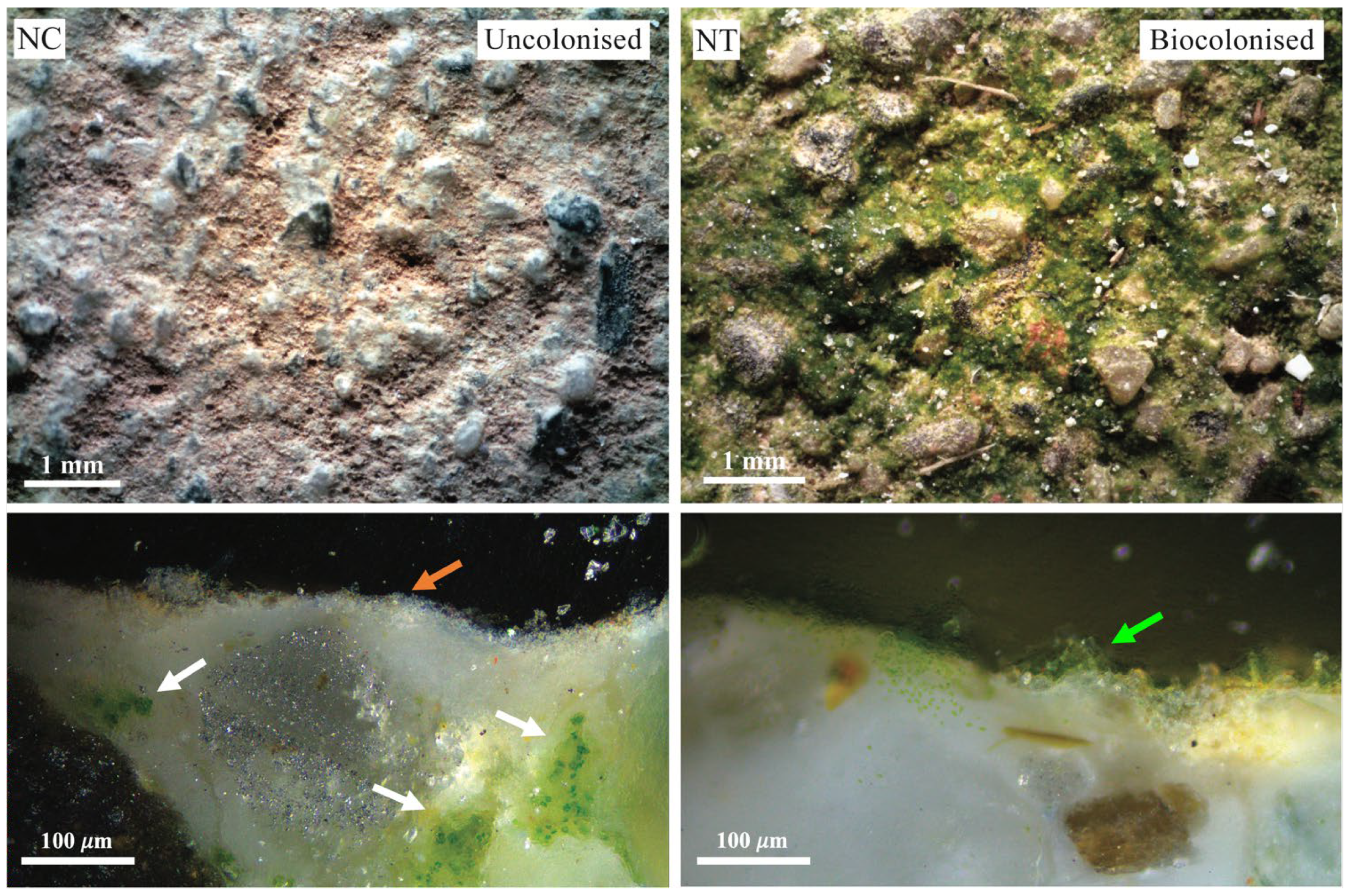 Heritage 07 00318 g003