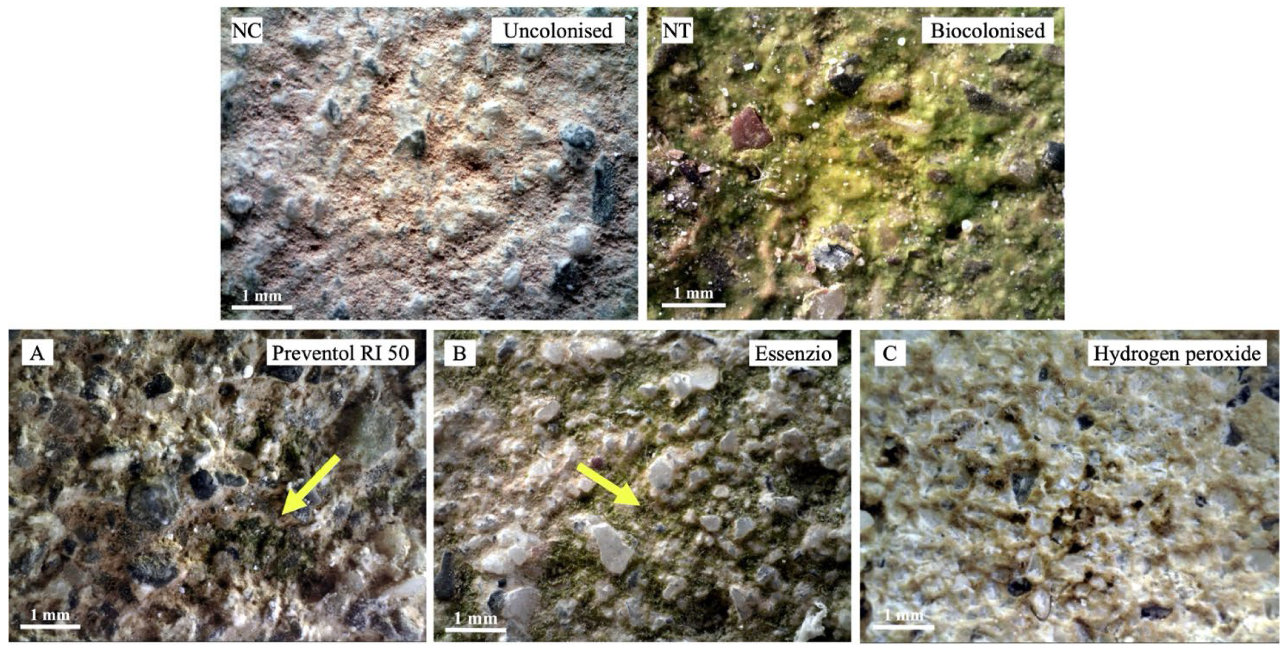 Heritage 07 00318 g004