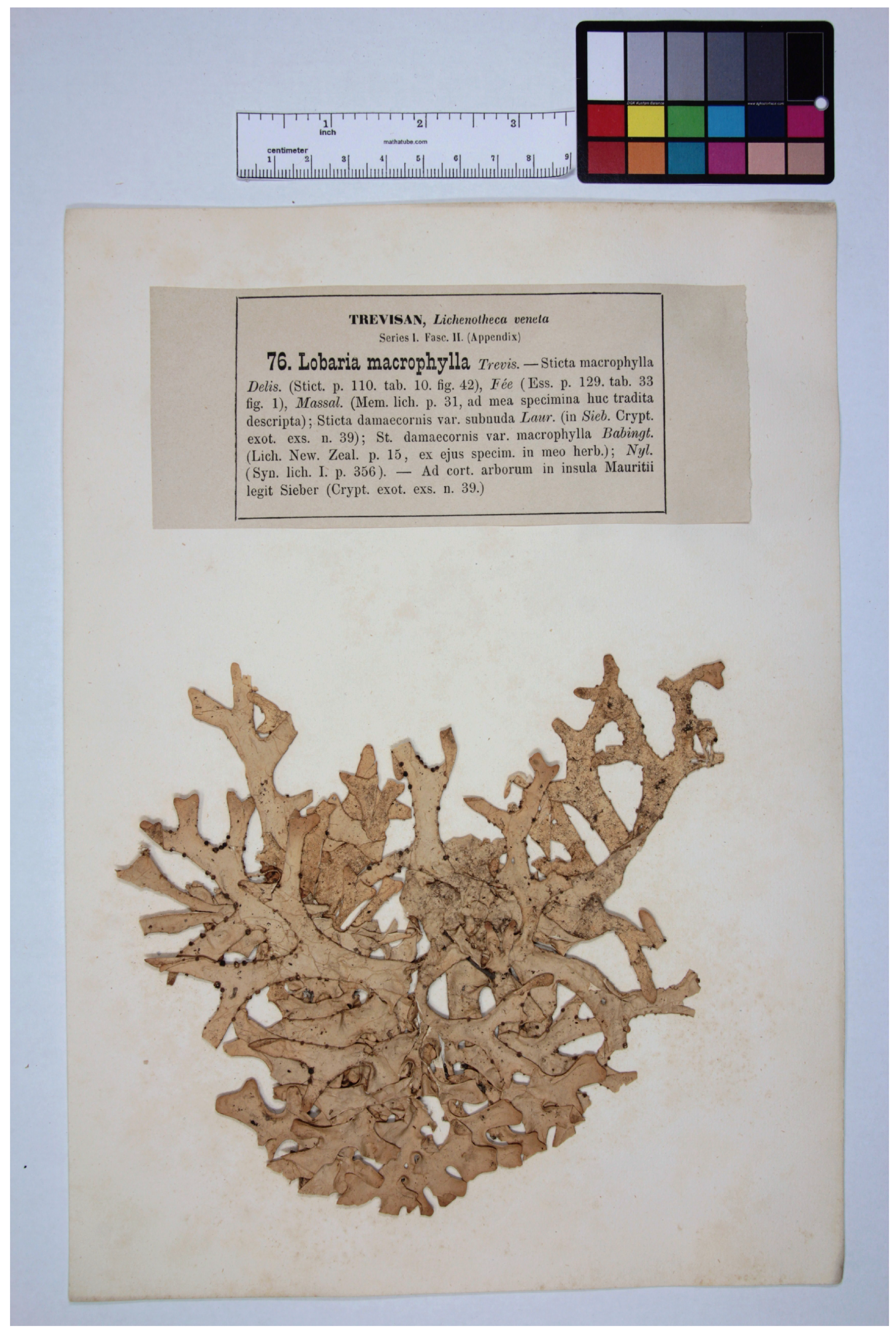 Heritage 07 00337 g001