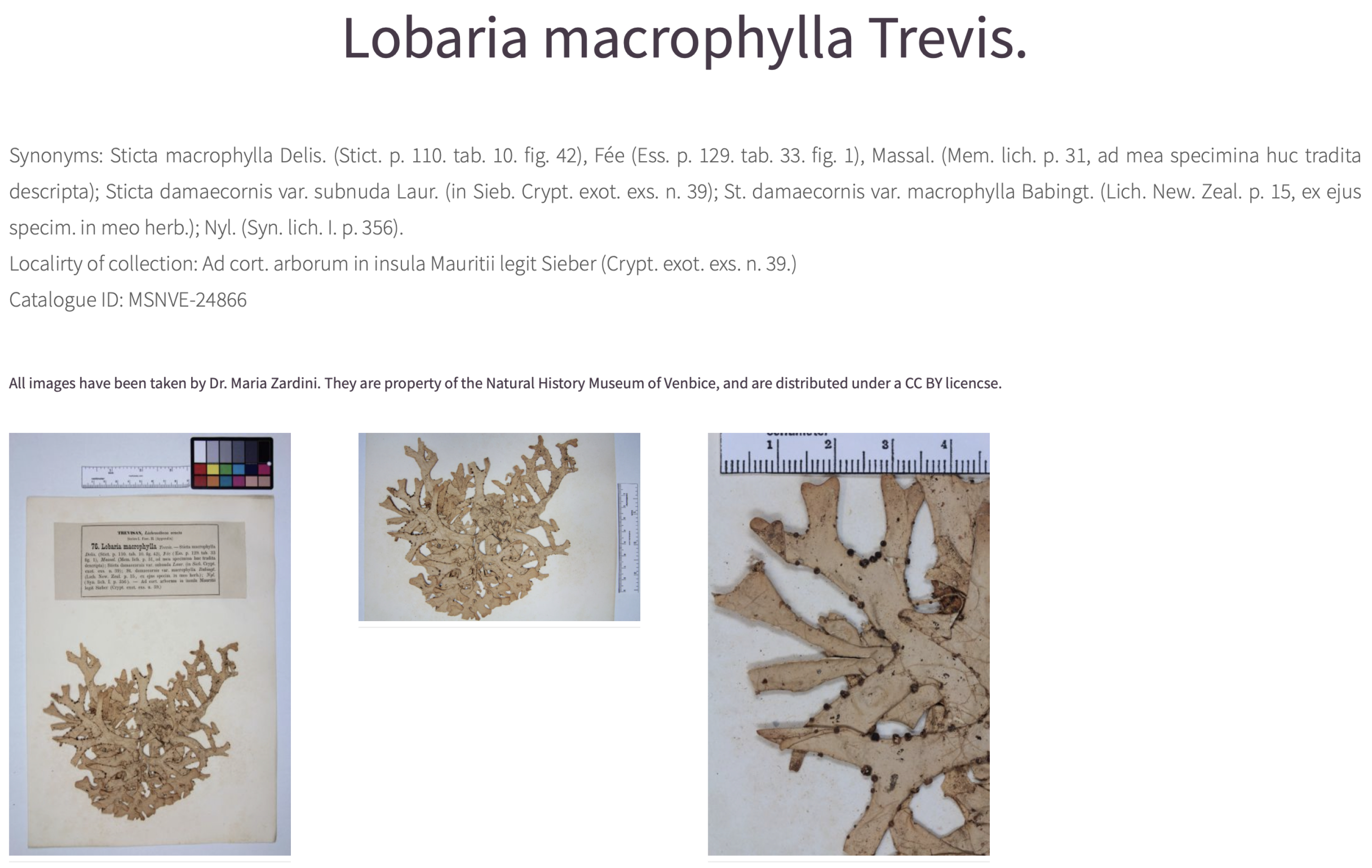 Heritage 07 00337 g004