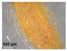 Heritage 08 00028 i007