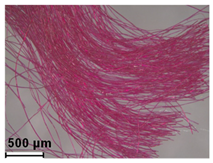 Heritage 08 00028 i014