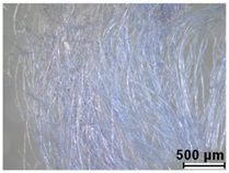 Heritage 08 00028 i018