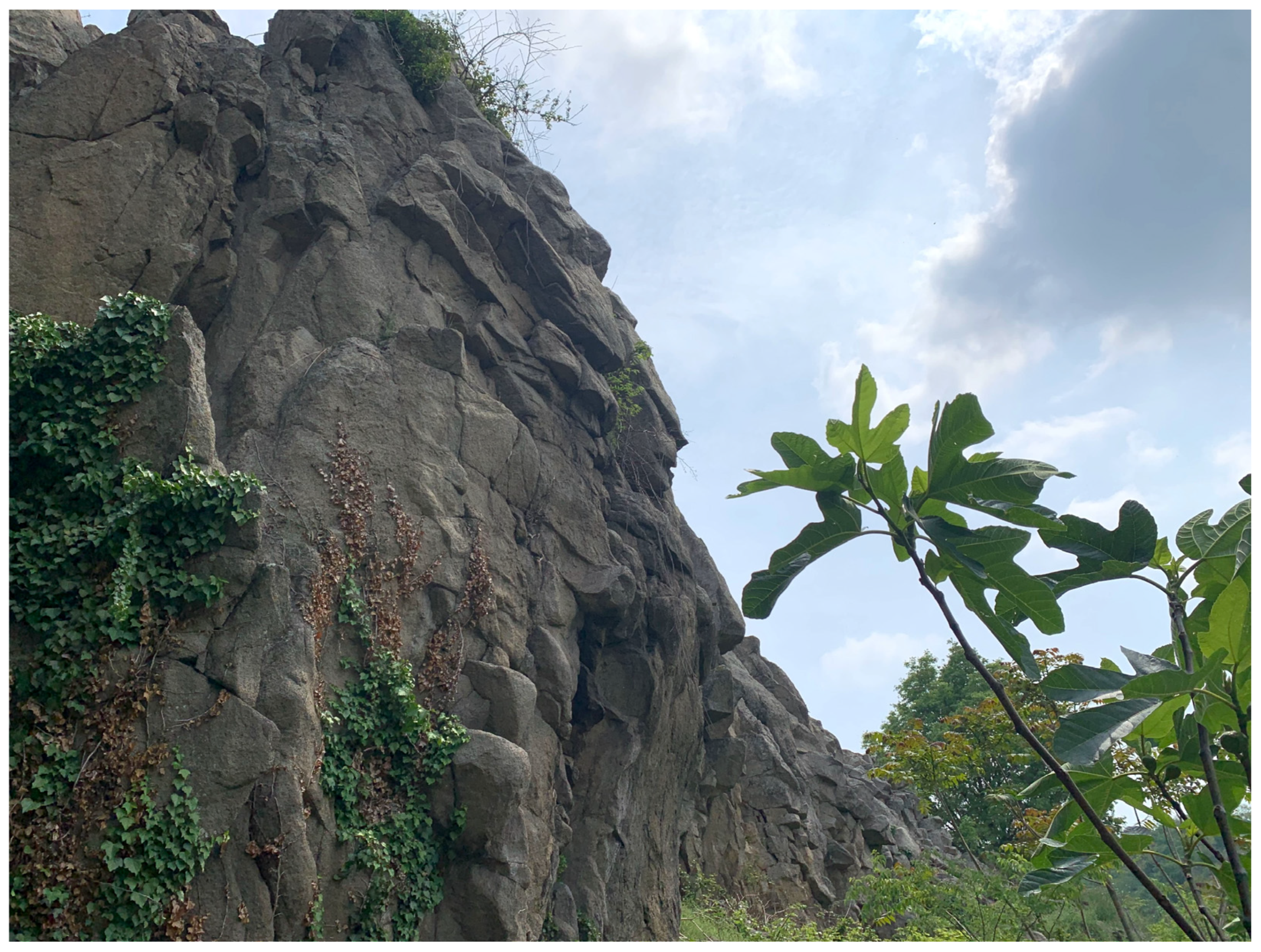 Heritage 08 00044 g012