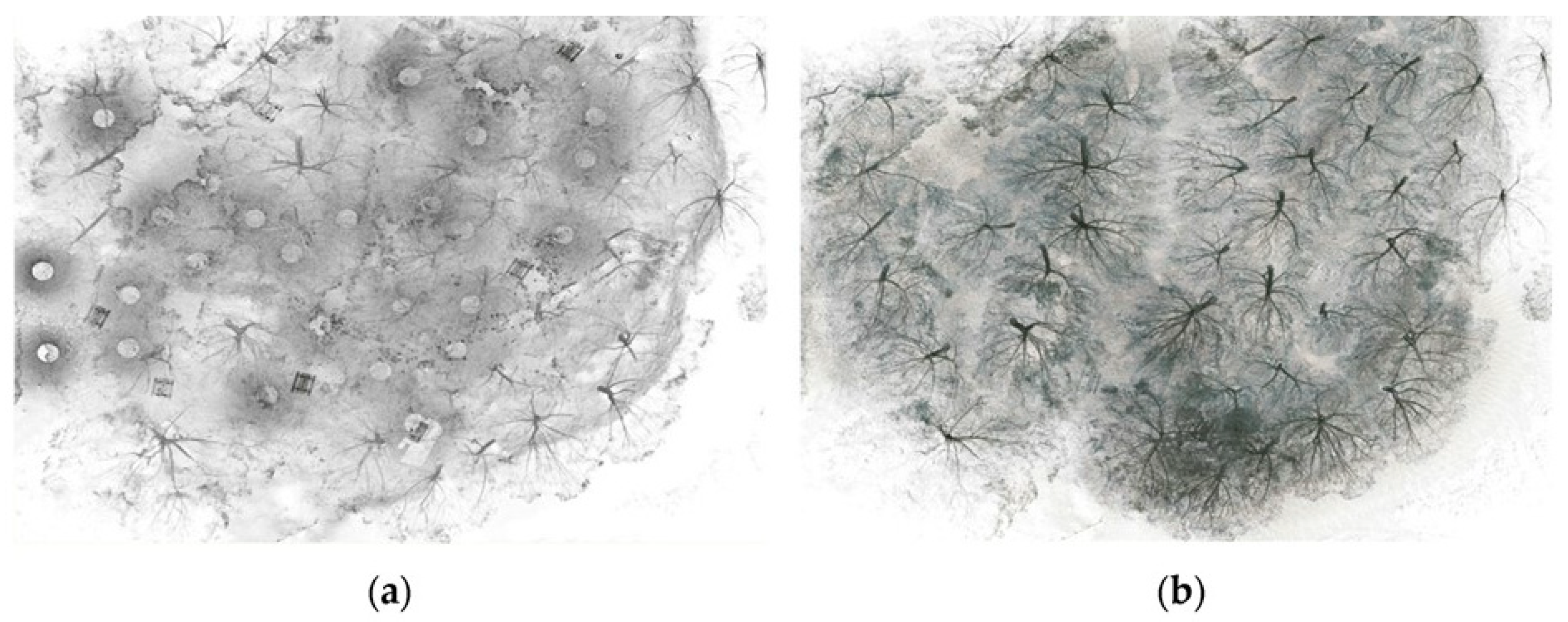 Heritage 08 00046 g016