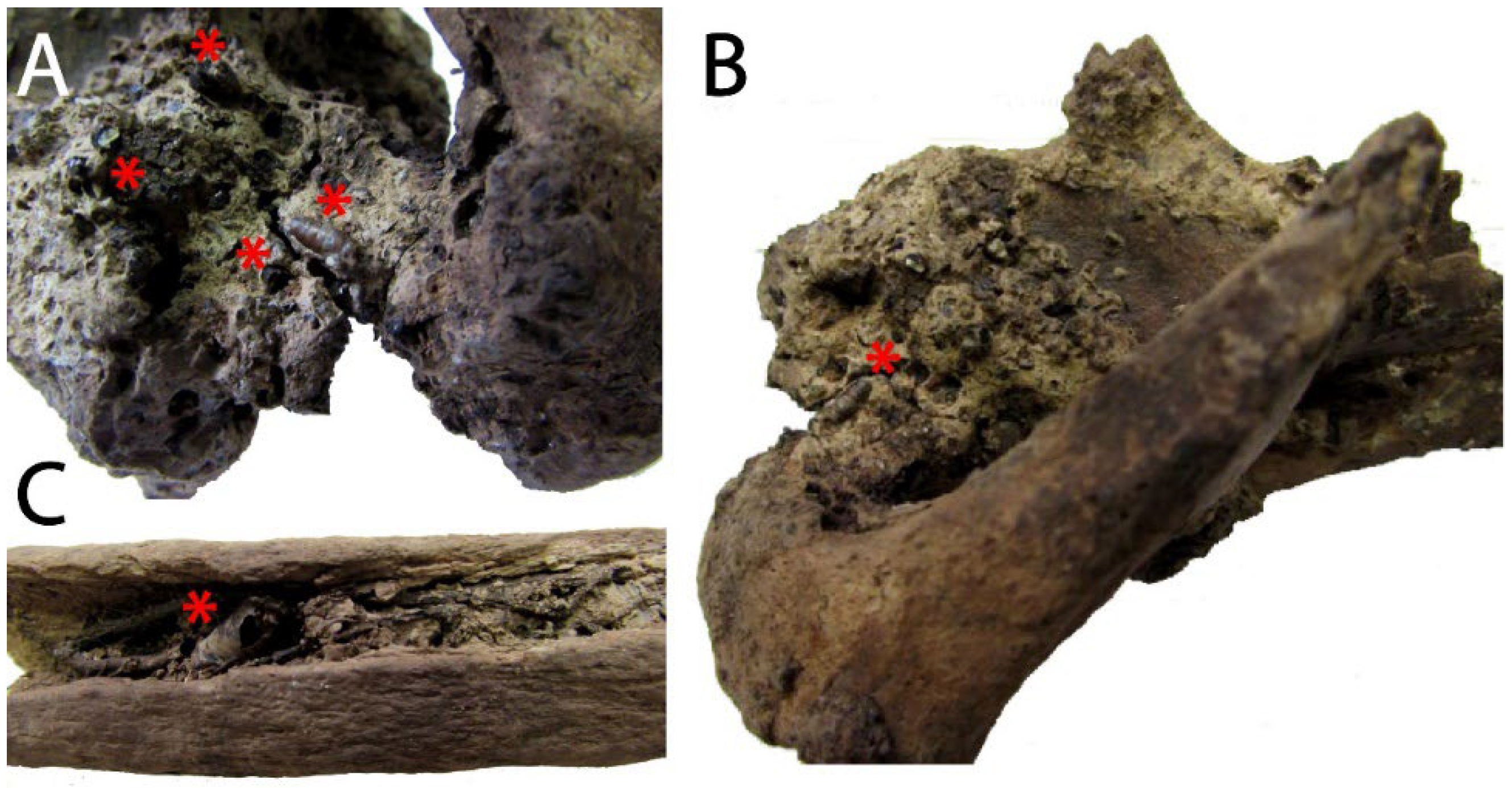 Heritage 08 00068 g003