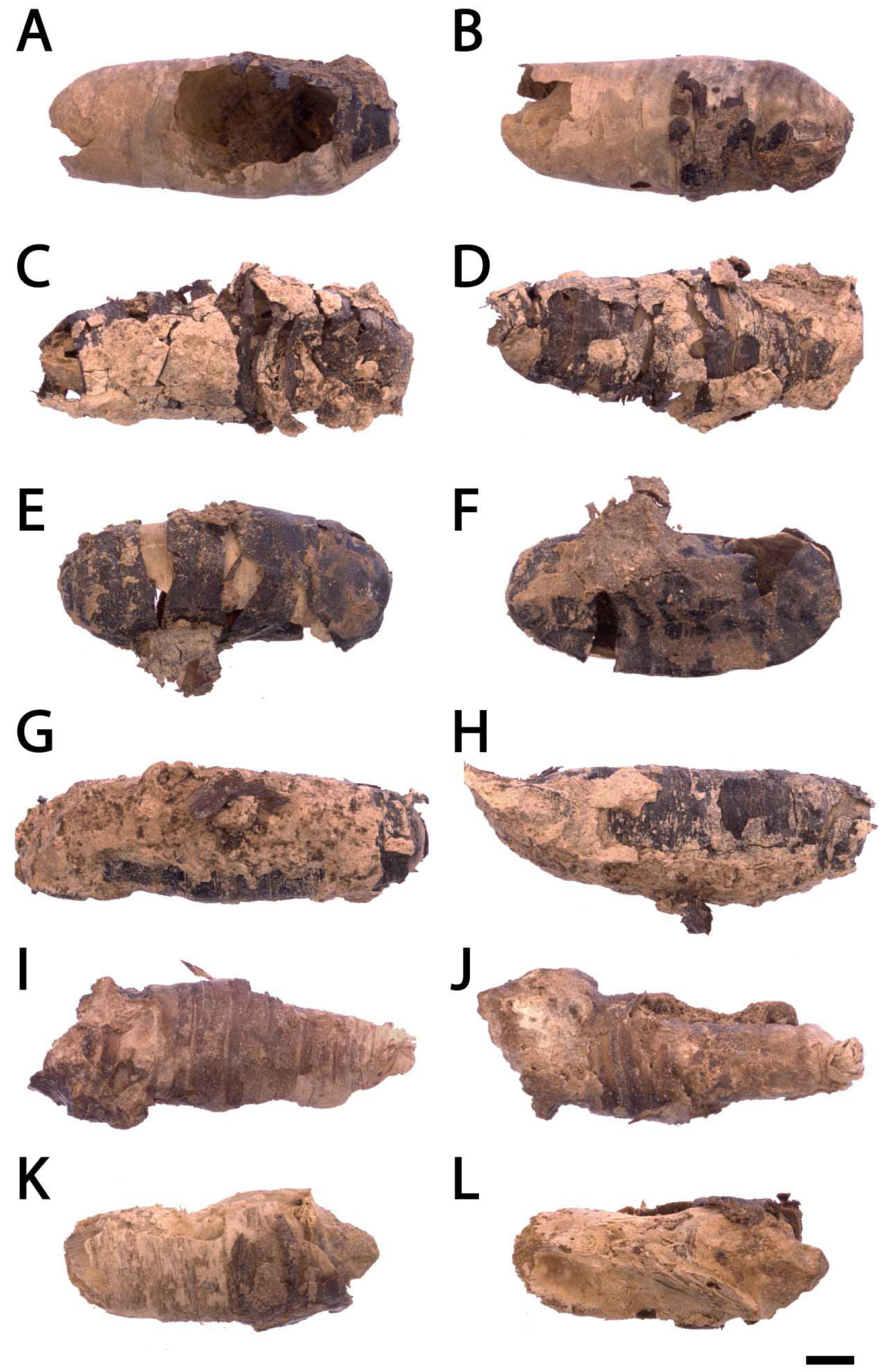 Heritage 08 00068 g004