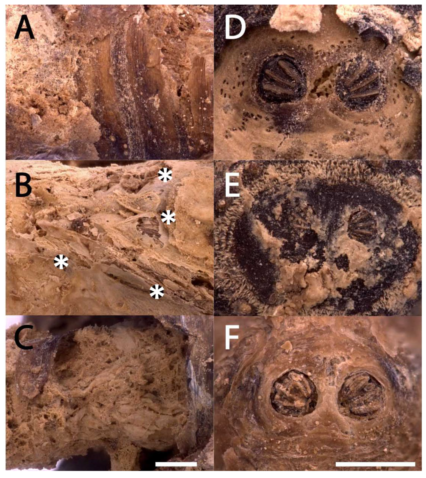 Heritage 08 00068 g005